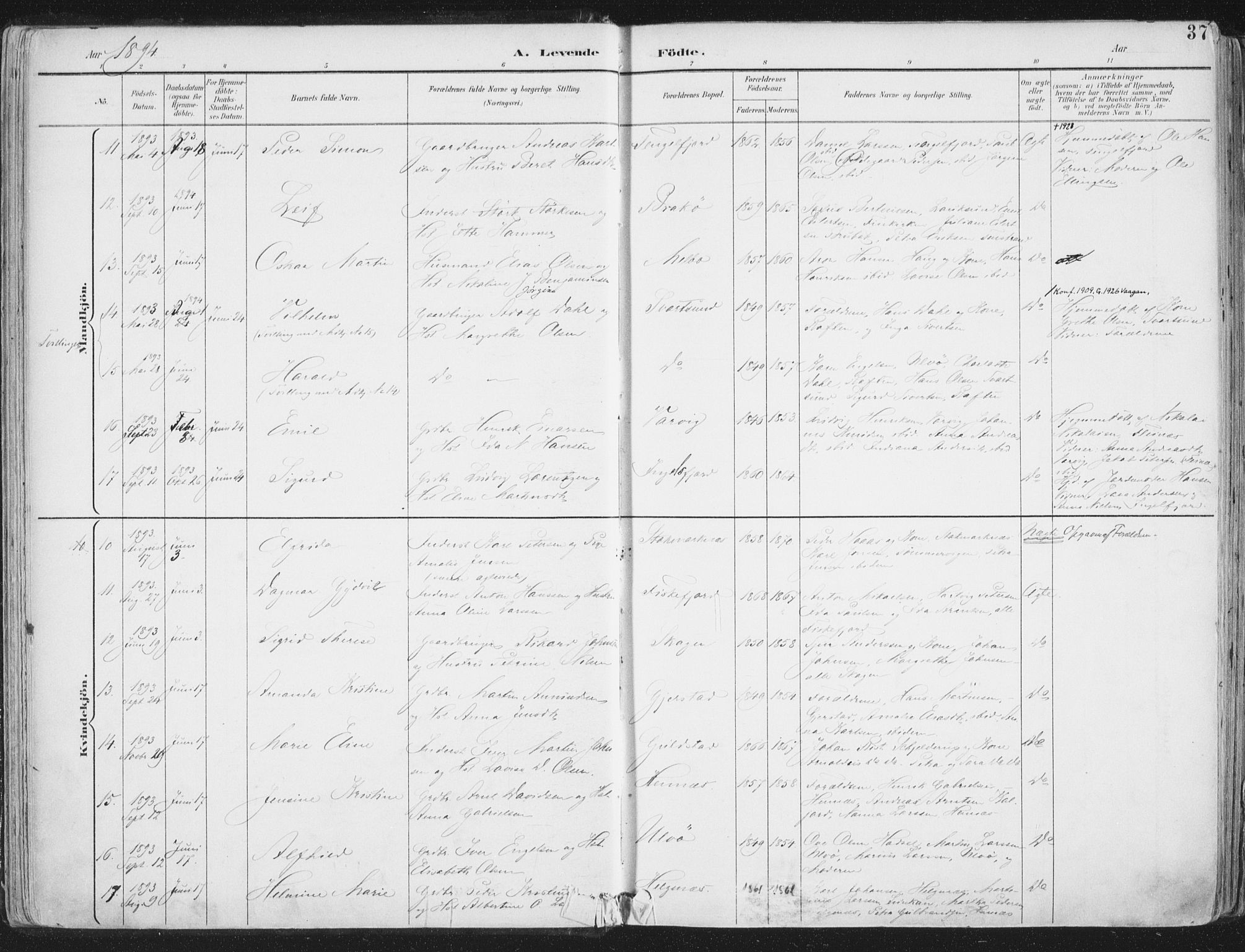 Ministerialprotokoller, klokkerbøker og fødselsregistre - Nordland, SAT/A-1459/888/L1246: Parish register (official) no. 888A12, 1891-1903, p. 37