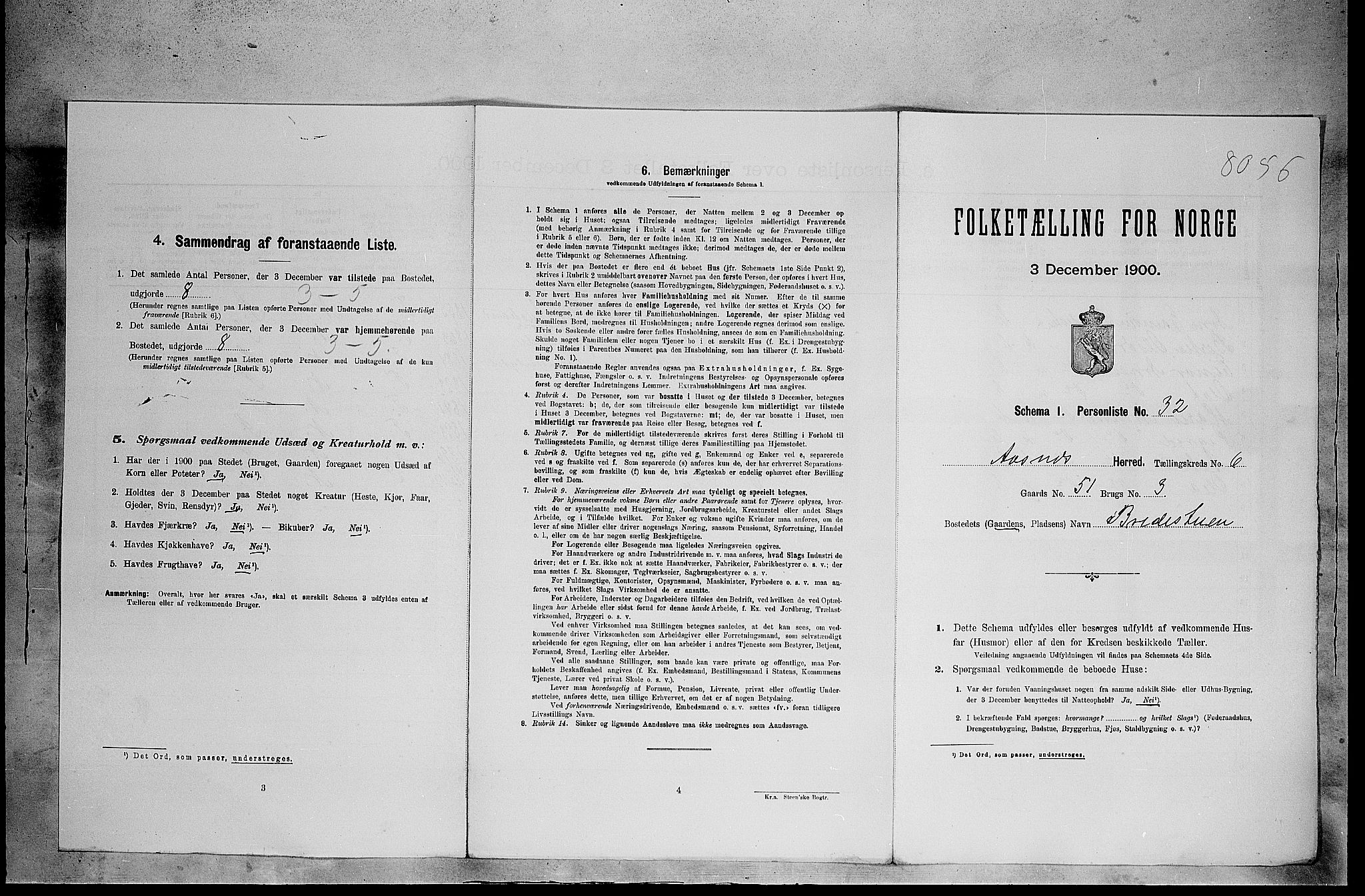 SAH, 1900 census for Åsnes, 1900, p. 1150