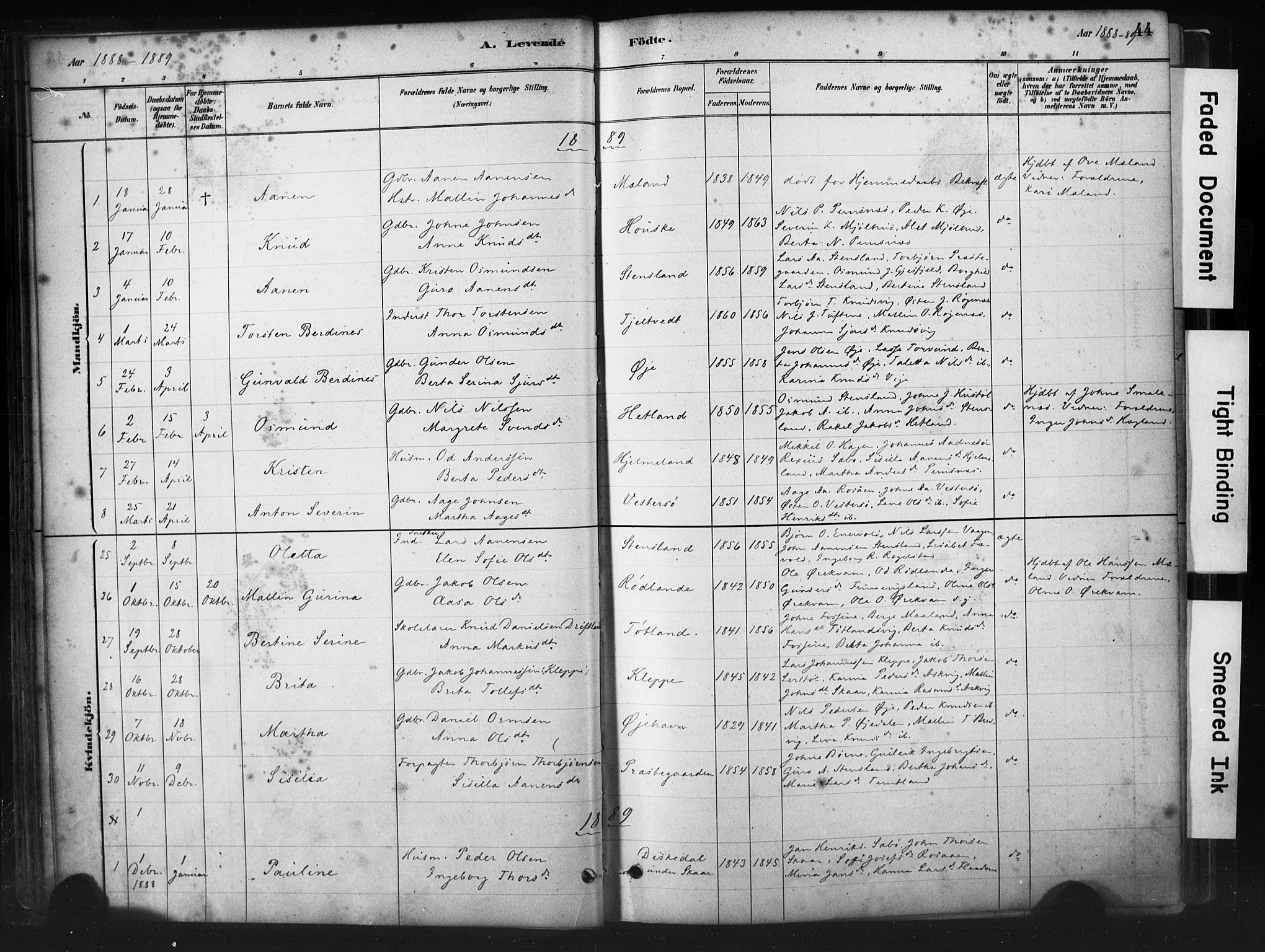 Hjelmeland sokneprestkontor, AV/SAST-A-101843/01/IV/L0014: Parish register (official) no. A 14, 1879-1900, p. 44