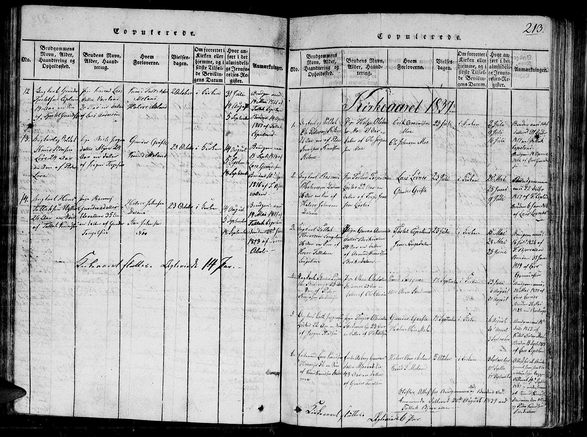 Gjerstad sokneprestkontor, SAK/1111-0014/F/Fb/Fbb/L0001: Parish register (copy) no. B 1, 1813-1863, p. 213