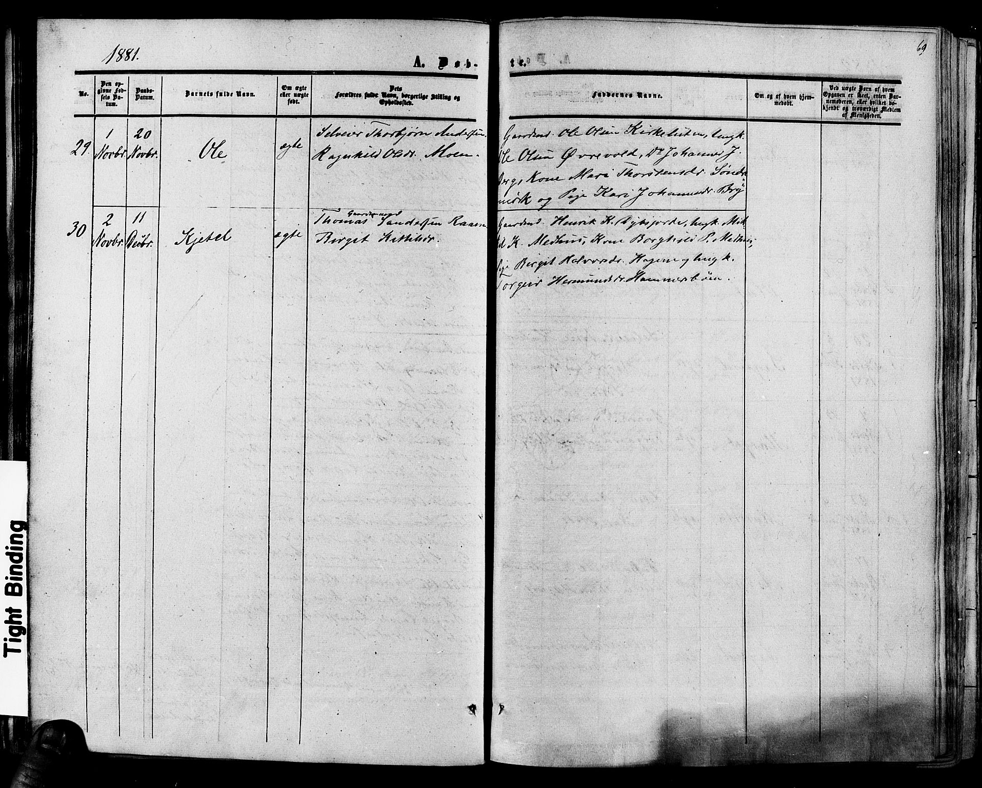 Hol kirkebøker, AV/SAKO-A-227/F/Fa/L0002: Parish register (official) no. I 2, 1870-1886, p. 69