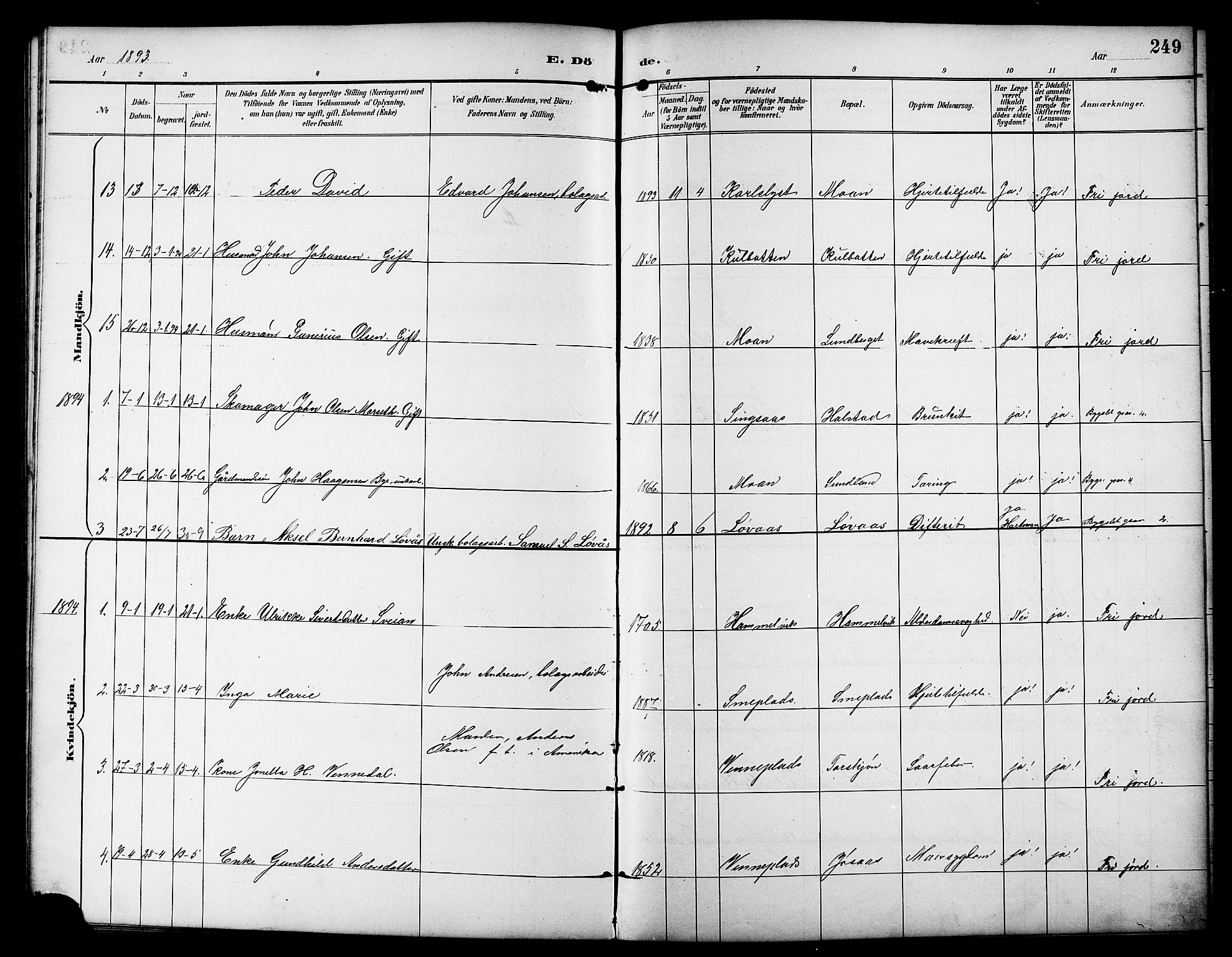 Ministerialprotokoller, klokkerbøker og fødselsregistre - Sør-Trøndelag, SAT/A-1456/617/L0431: Parish register (copy) no. 617C01, 1889-1910, p. 249