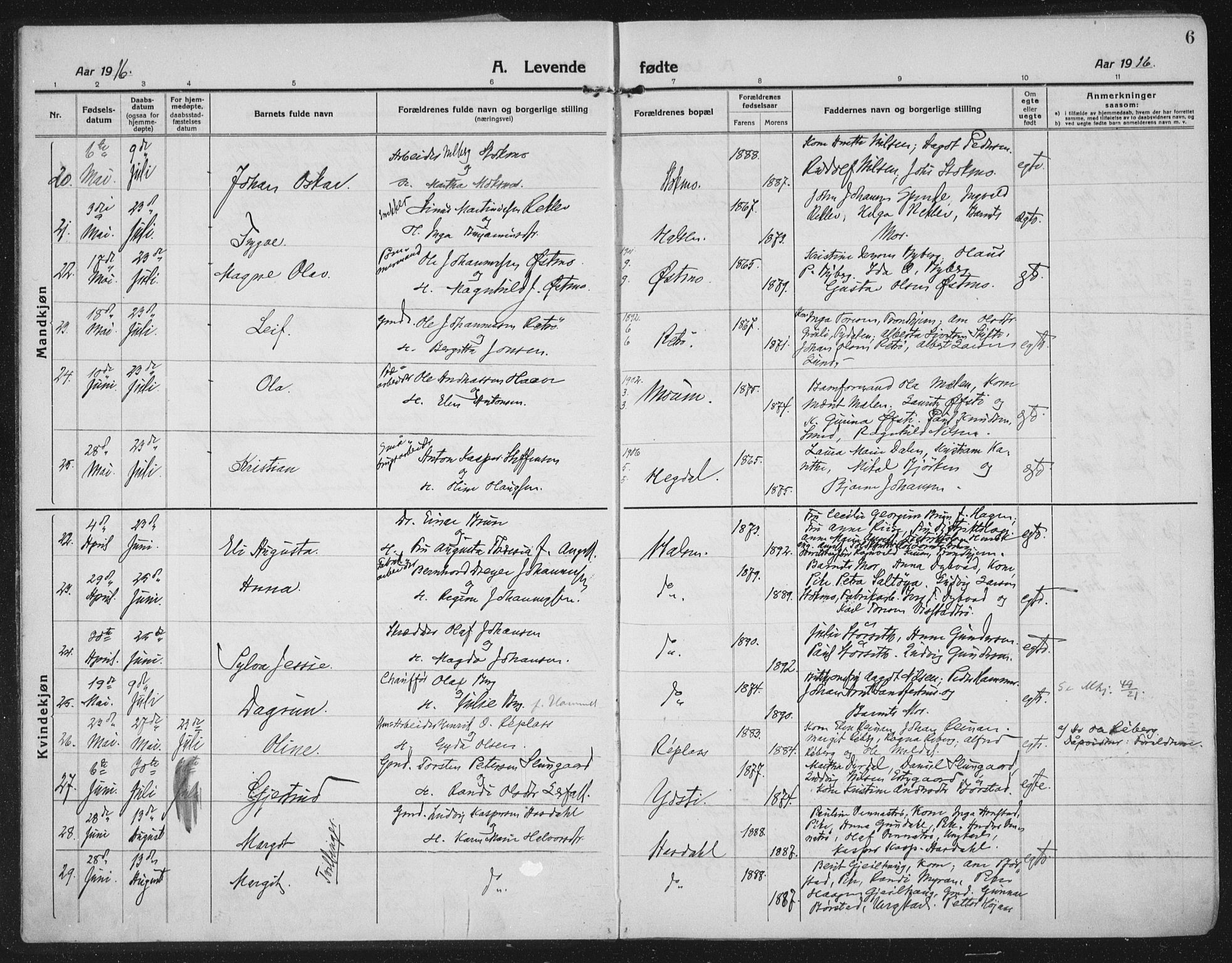 Ministerialprotokoller, klokkerbøker og fødselsregistre - Nord-Trøndelag, AV/SAT-A-1458/709/L0083: Parish register (official) no. 709A23, 1916-1928, p. 6