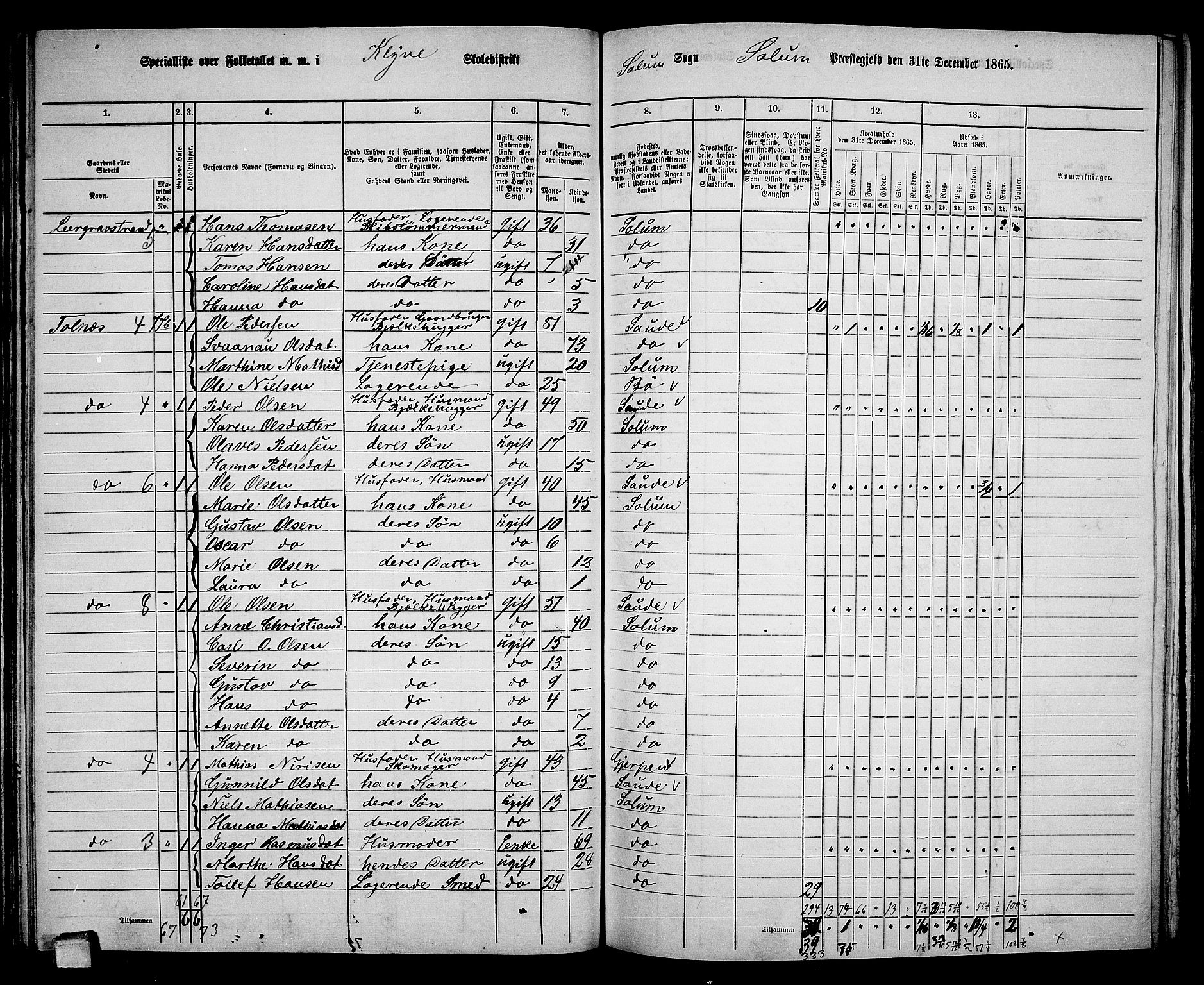 RA, 1865 census for Solum, 1865, p. 80