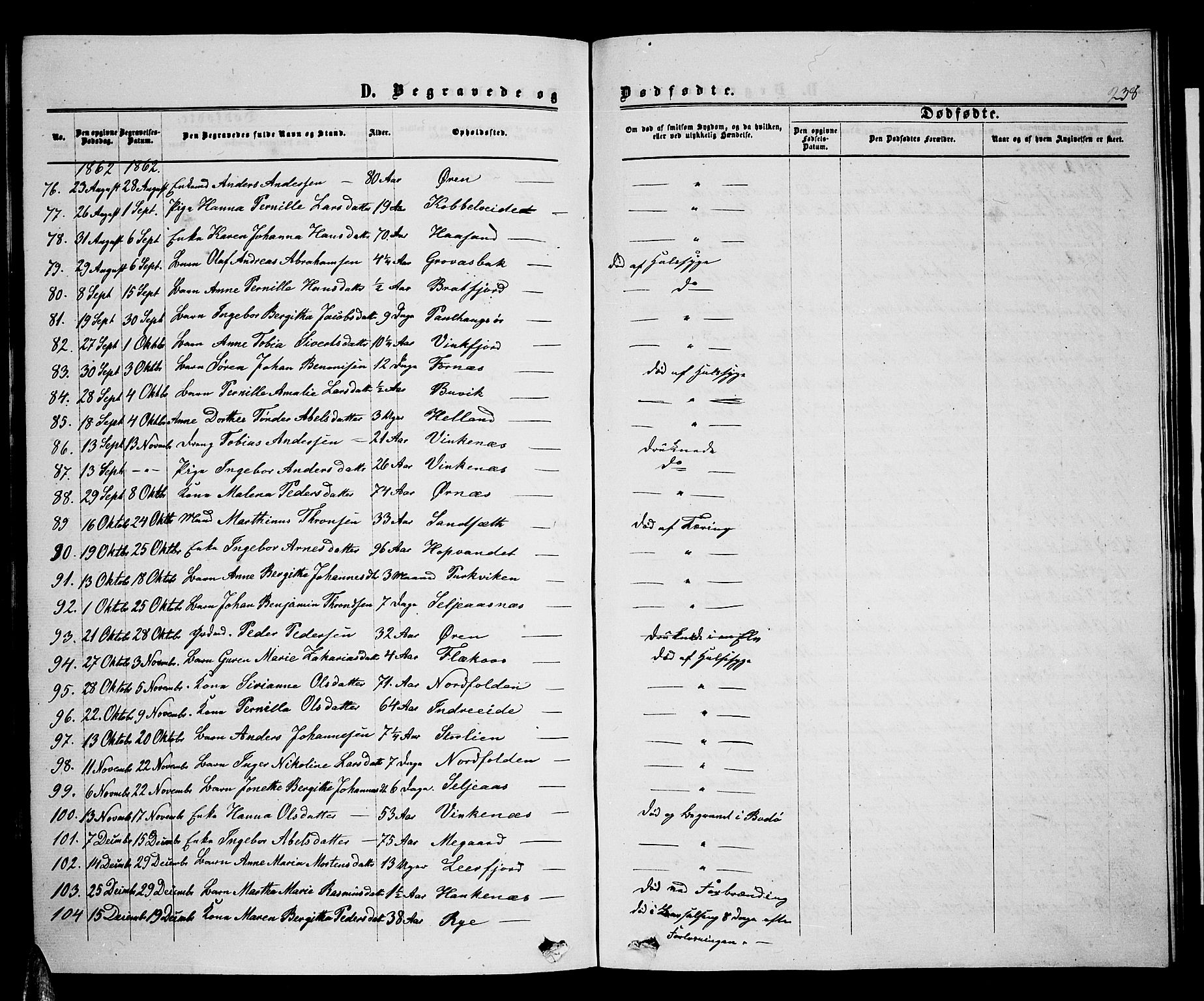 Ministerialprotokoller, klokkerbøker og fødselsregistre - Nordland, AV/SAT-A-1459/853/L0775: Parish register (copy) no. 853C03, 1859-1877, p. 238