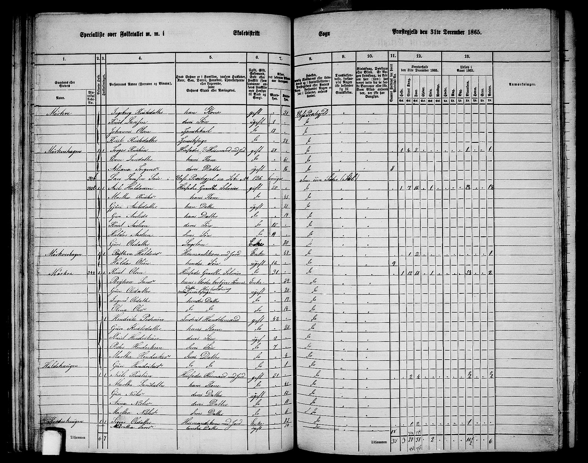 RA, 1865 census for Voss, 1865, p. 295