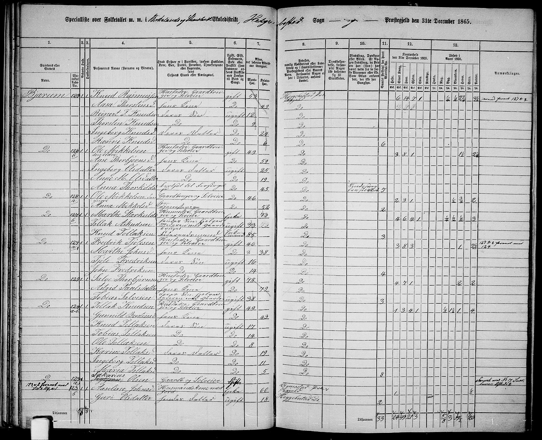 RA, 1865 census for Hægebostad, 1865, p. 38
