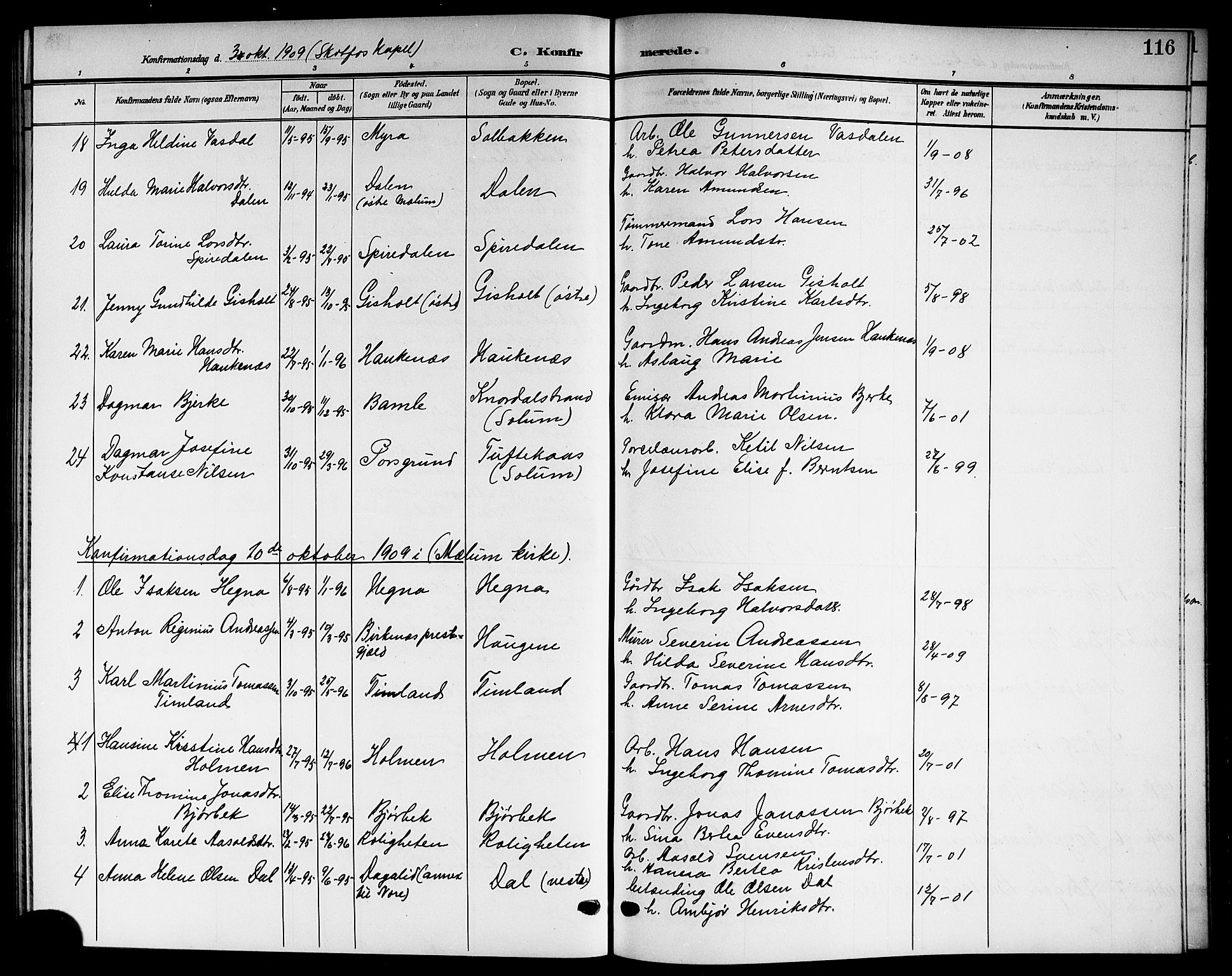 Solum kirkebøker, SAKO/A-306/G/Gb/L0005: Parish register (copy) no. II 5, 1905-1914, p. 116