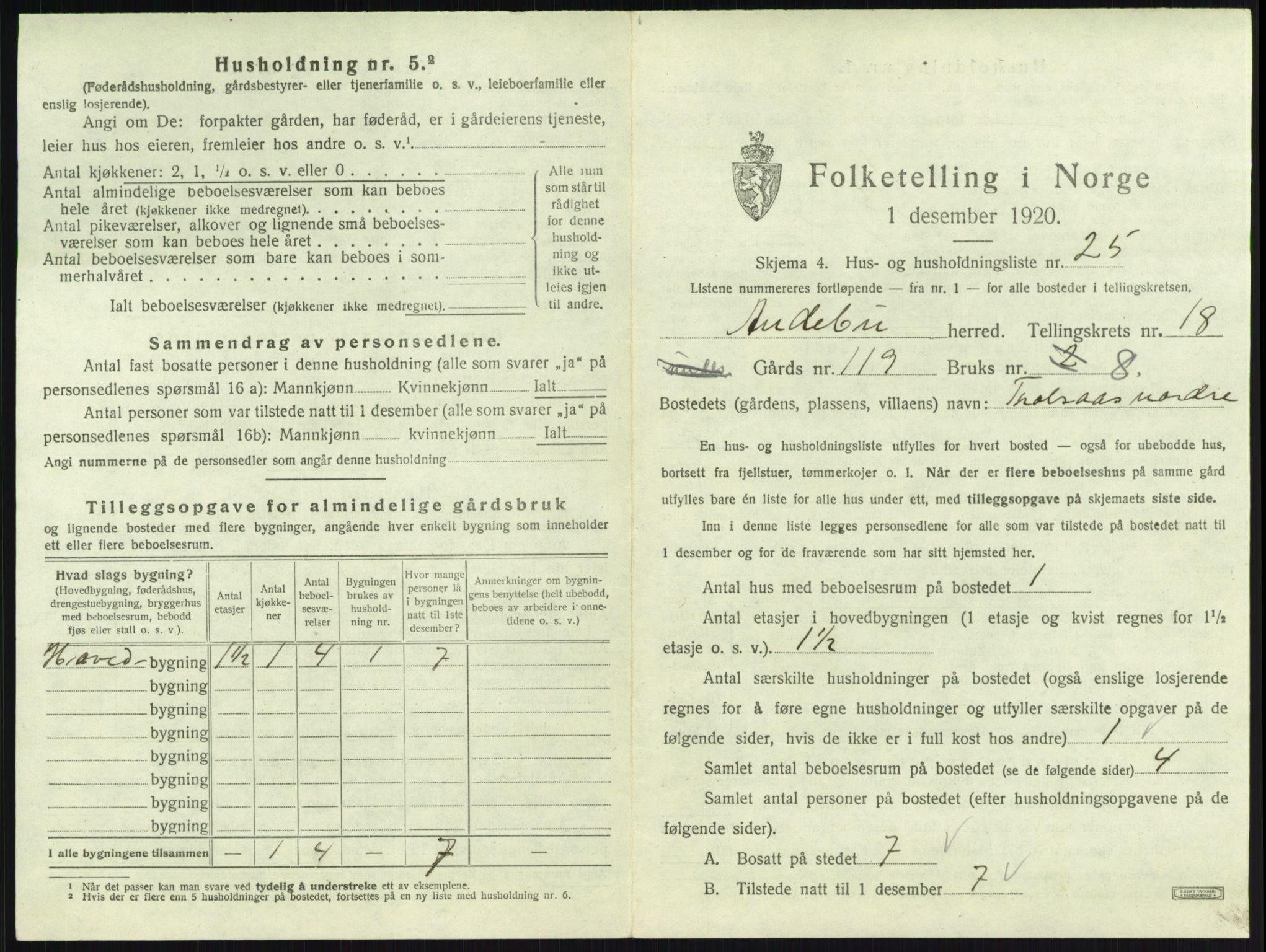 SAKO, 1920 census for Andebu, 1920, p. 1028