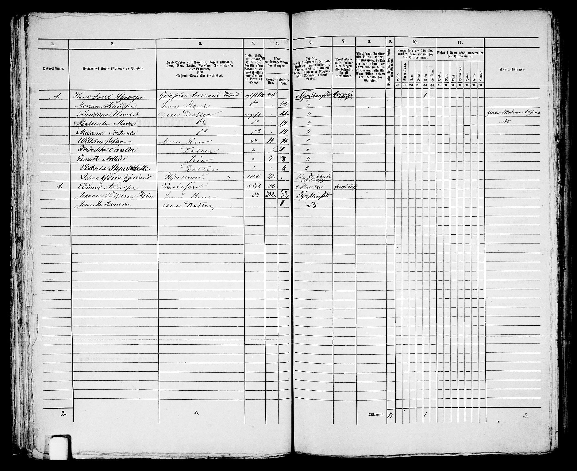 RA, 1865 census for Kristiansand, 1865, p. 1060