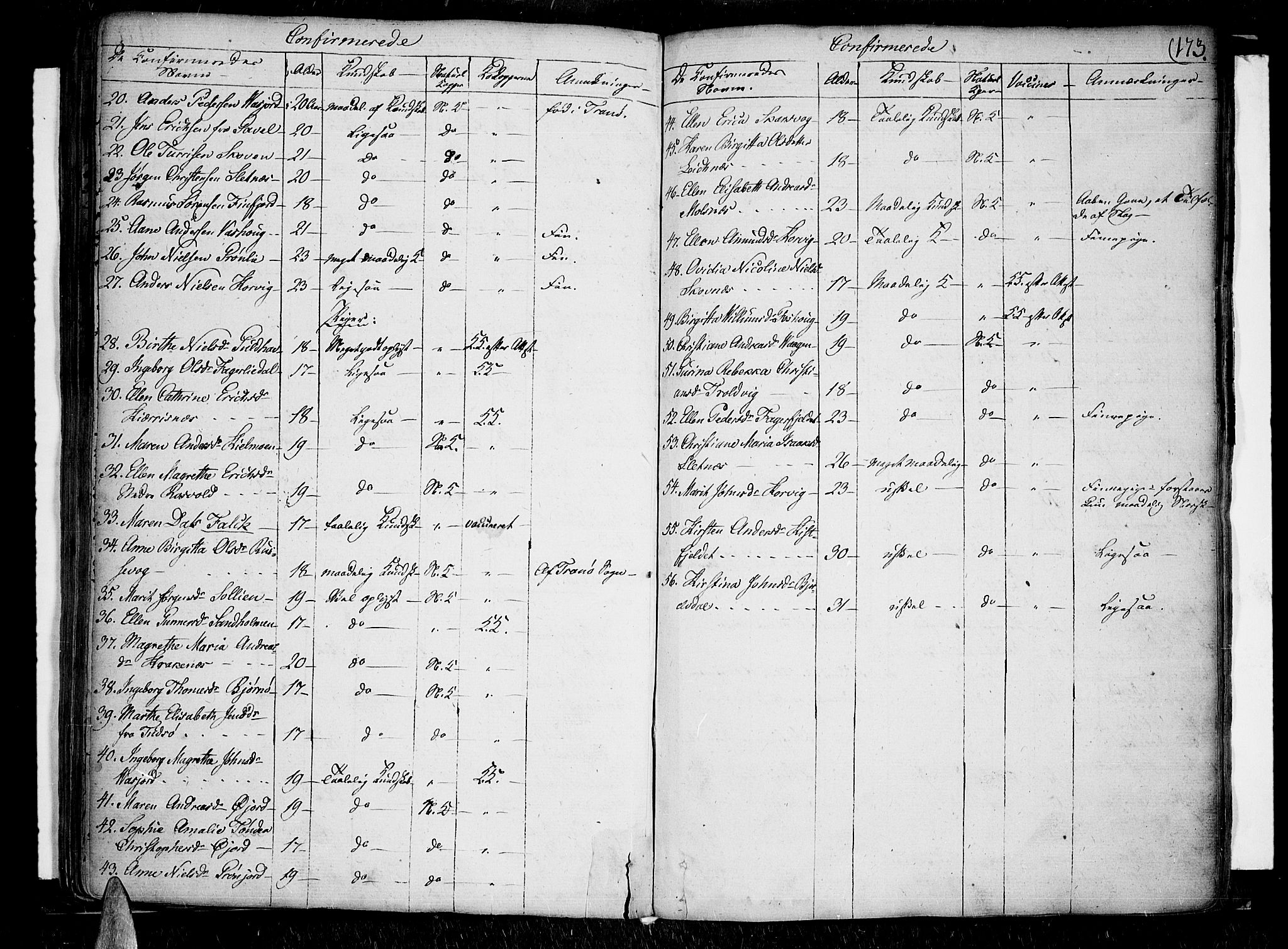 Lenvik sokneprestembete, AV/SATØ-S-1310/H/Ha/Haa/L0002kirke: Parish register (official) no. 2, 1784-1820, p. 173