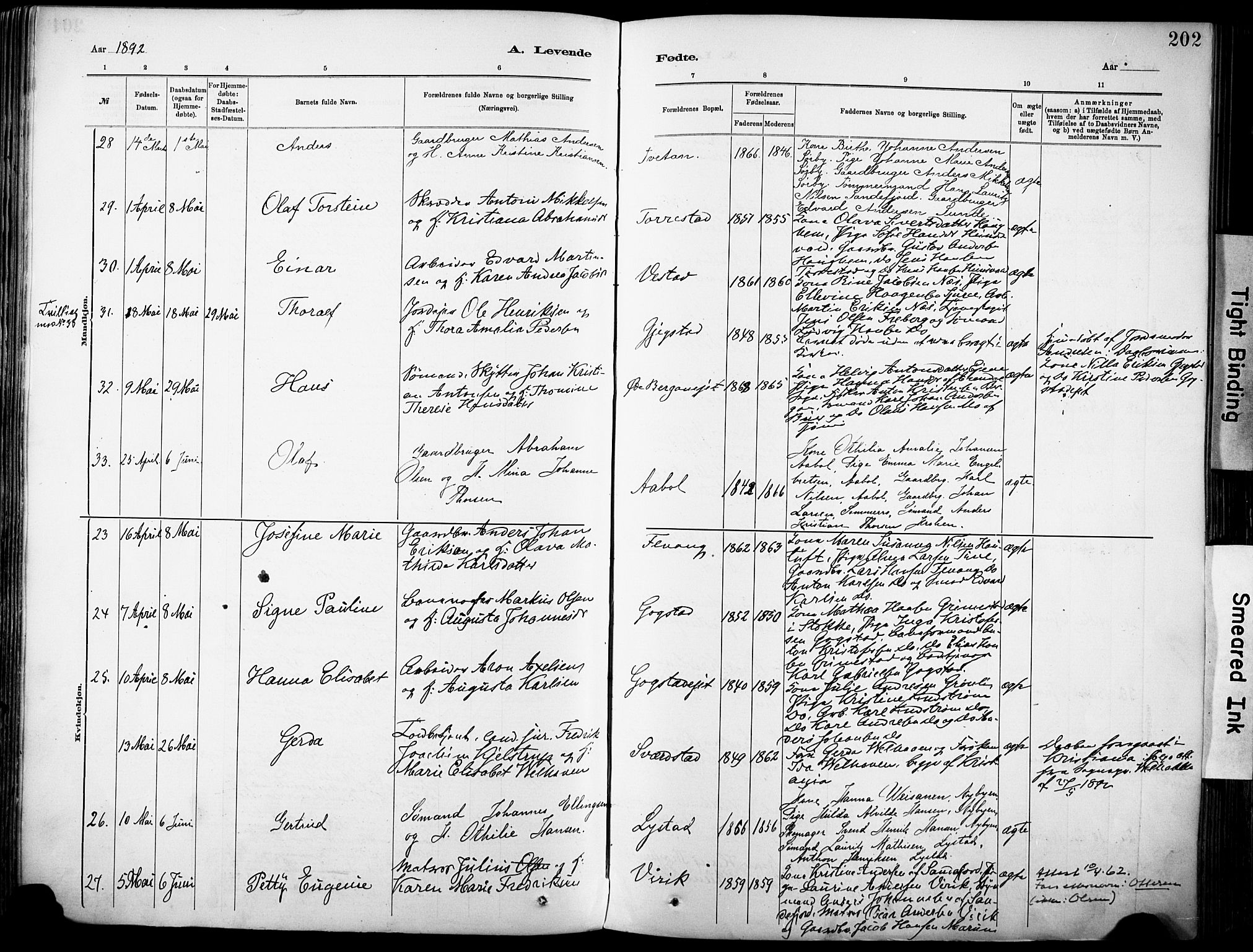 Sandar kirkebøker, AV/SAKO-A-243/F/Fa/L0012: Parish register (official) no. 12, 1883-1895, p. 202