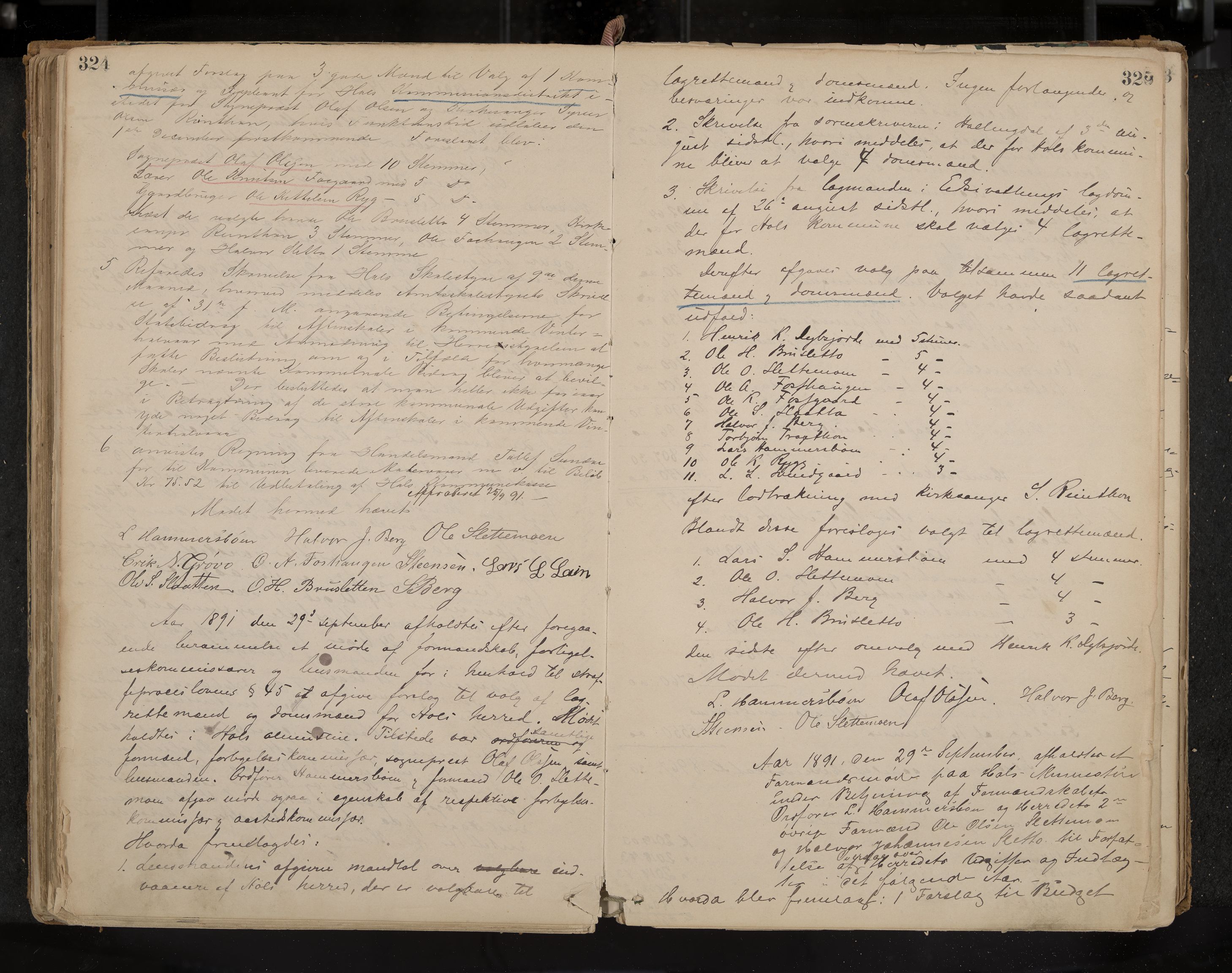 Hol formannskap og sentraladministrasjon, IKAK/0620021-1/A/L0001: Møtebok, 1877-1893, p. 324-325