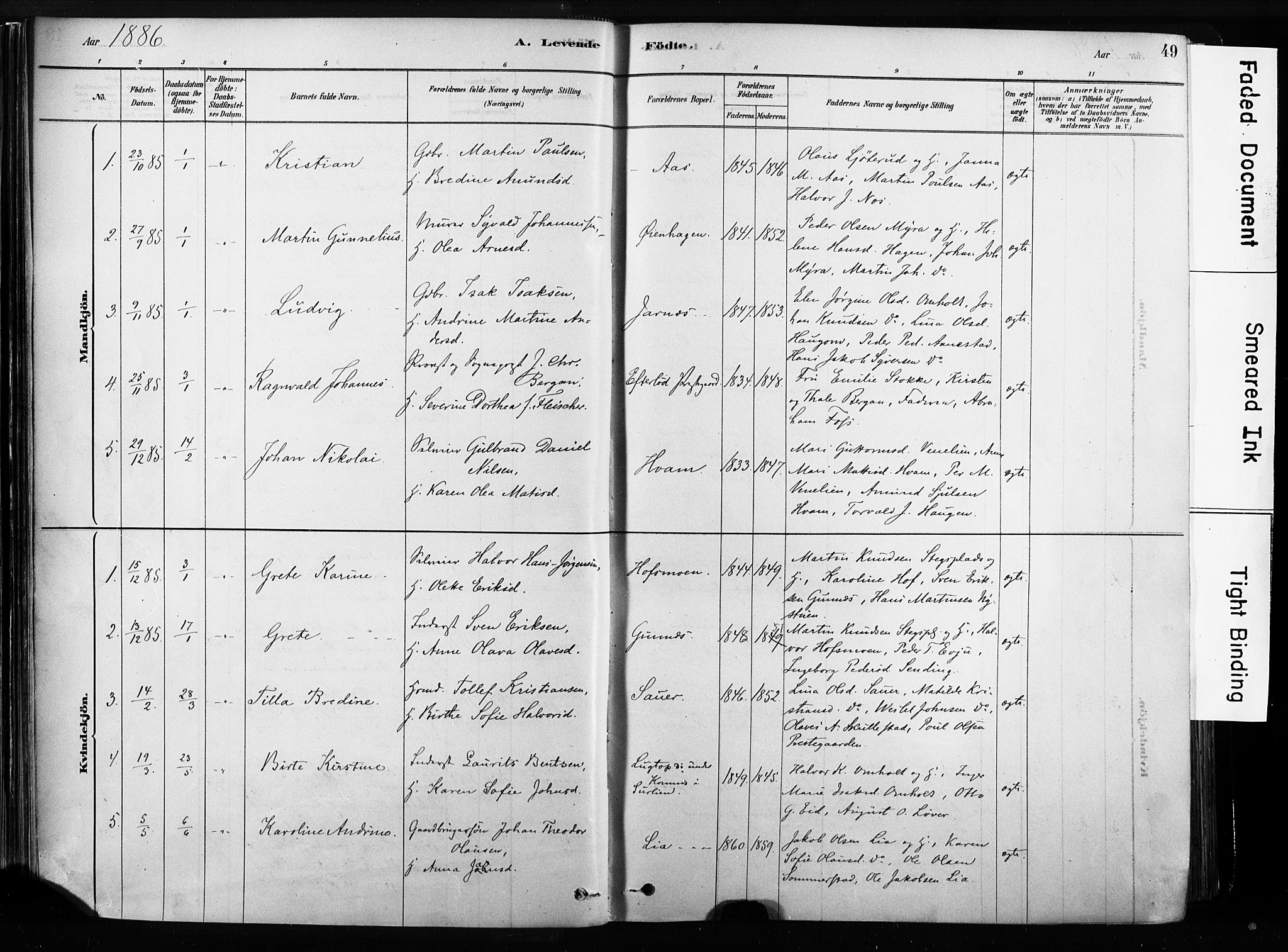 Sandsvær kirkebøker, SAKO/A-244/F/Fb/L0001: Parish register (official) no. II 1, 1878-1906, p. 49