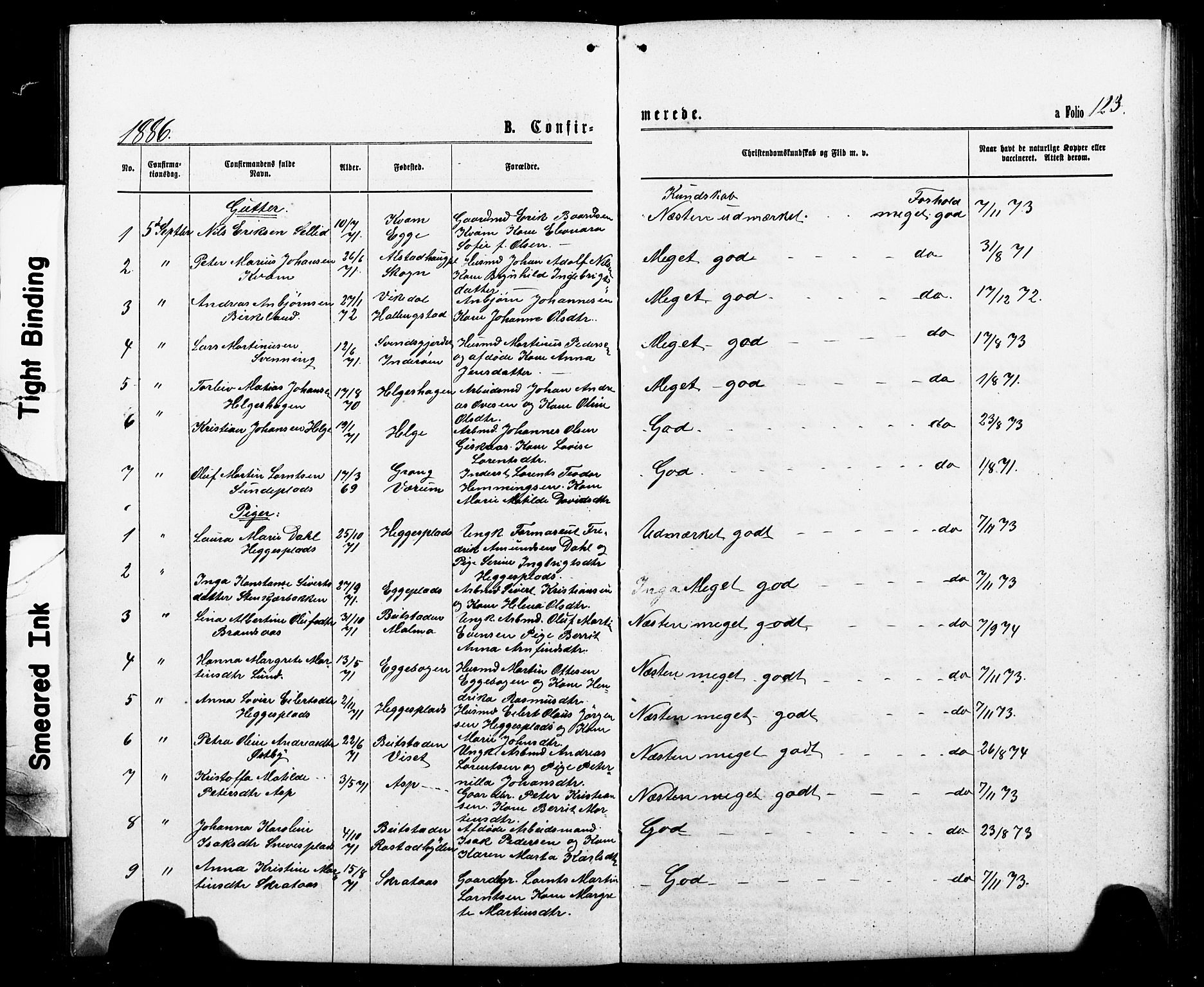 Ministerialprotokoller, klokkerbøker og fødselsregistre - Nord-Trøndelag, AV/SAT-A-1458/740/L0380: Parish register (copy) no. 740C01, 1868-1902, p. 123