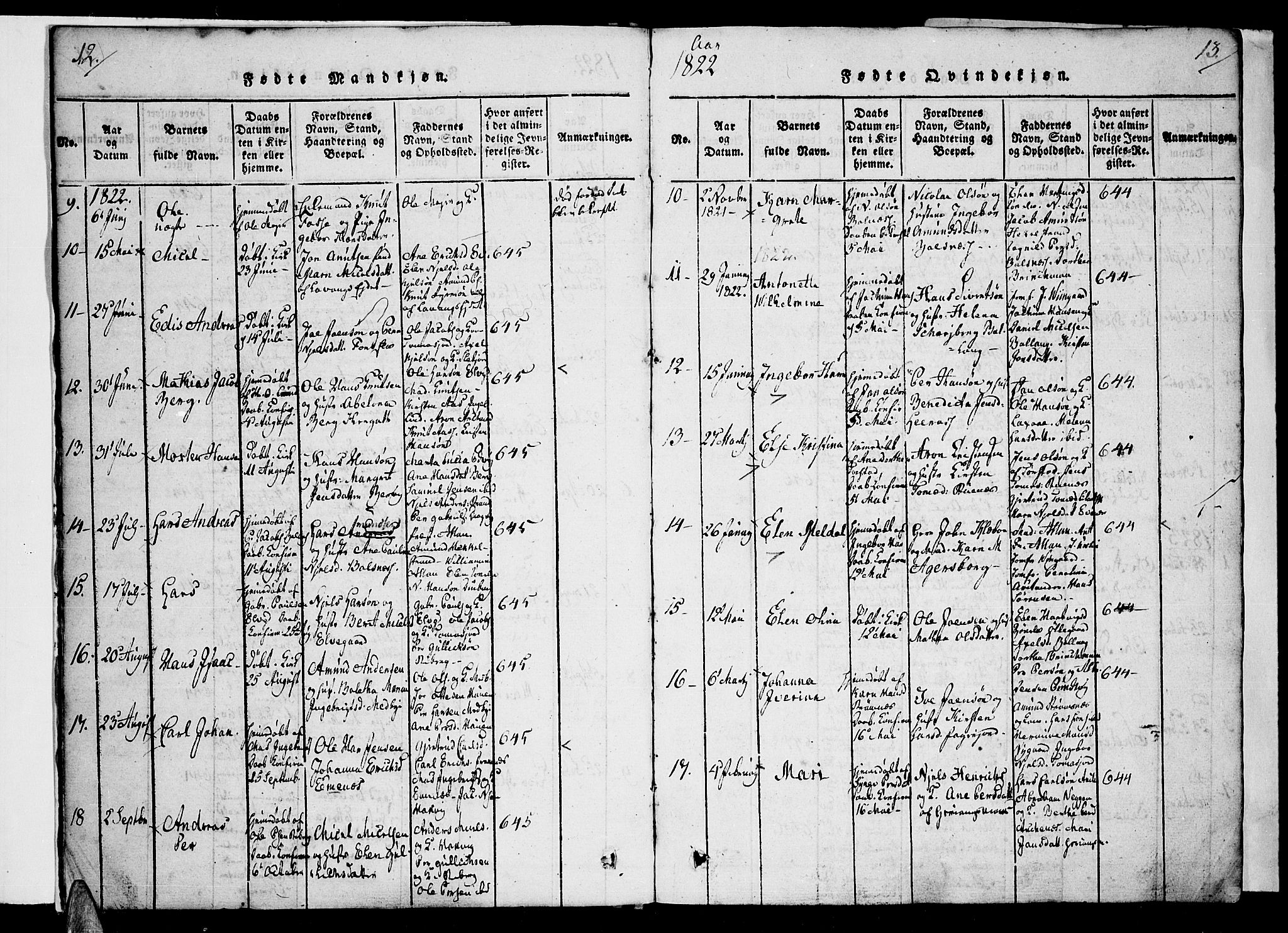 Ministerialprotokoller, klokkerbøker og fødselsregistre - Nordland, AV/SAT-A-1459/863/L0894: Parish register (official) no. 863A06, 1821-1851, p. 12-13