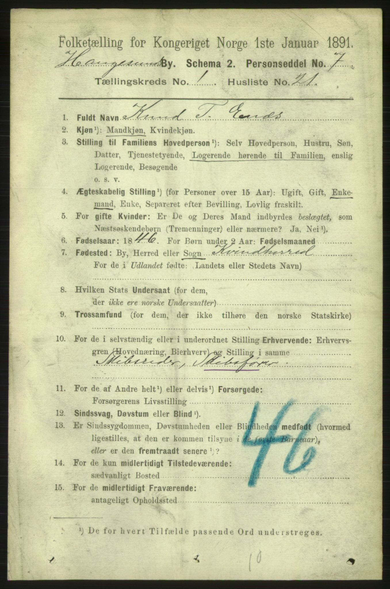 RA, 1891 census for 1106 Haugesund, 1891, p. 1019