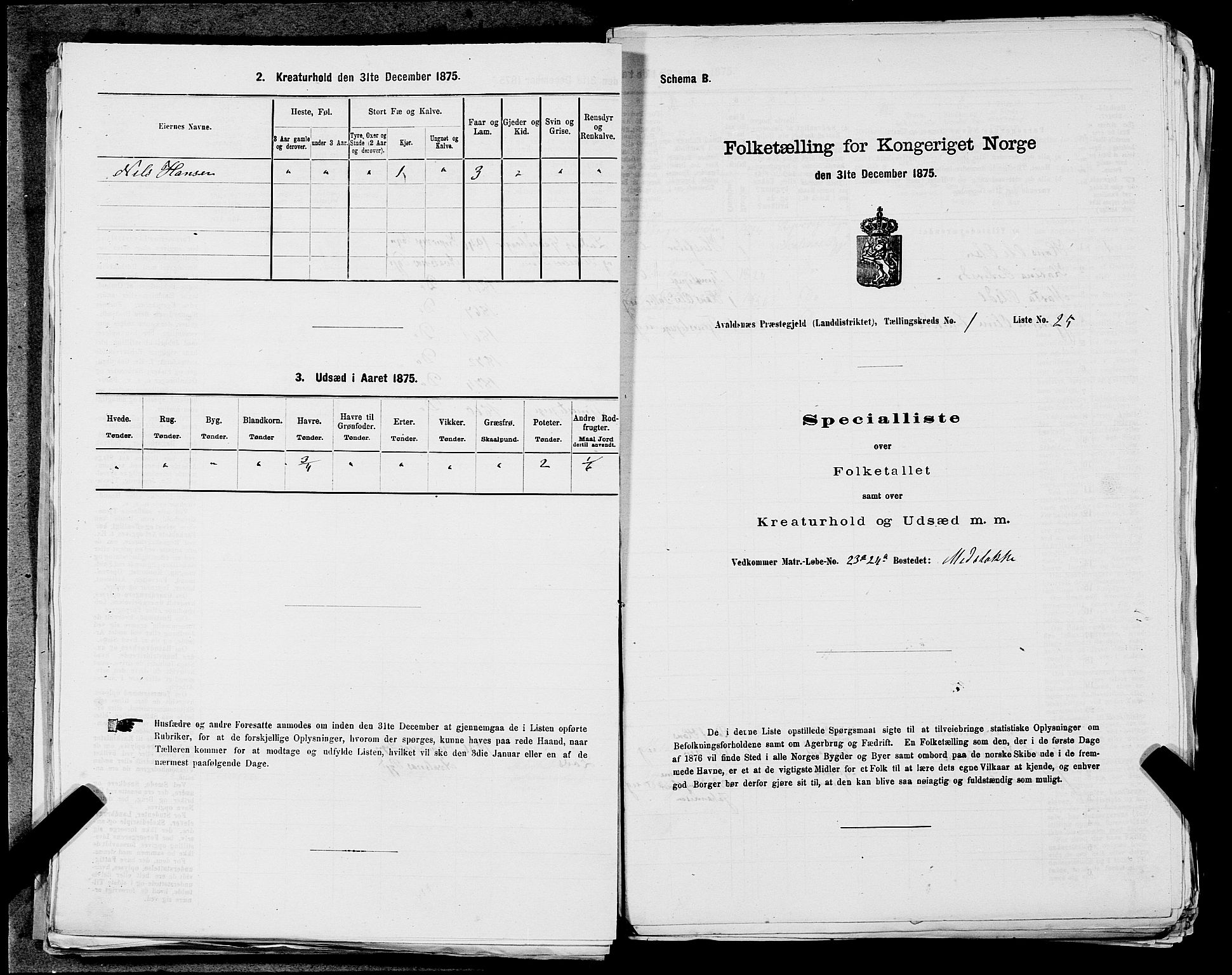 SAST, 1875 census for 1147L Avaldsnes/Avaldsnes og Kopervik, 1875, p. 116