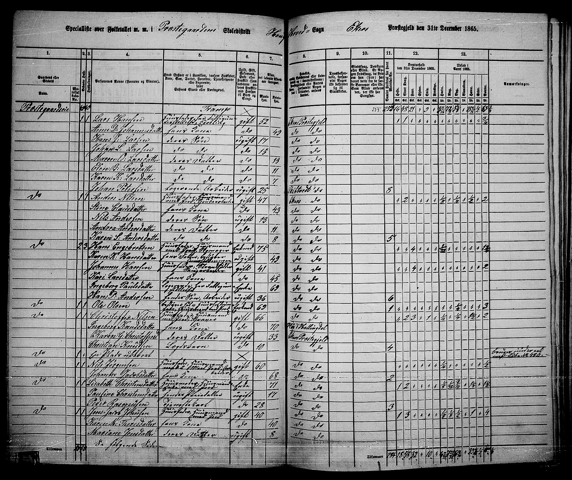 RA, 1865 census for Eiker, 1865, p. 181