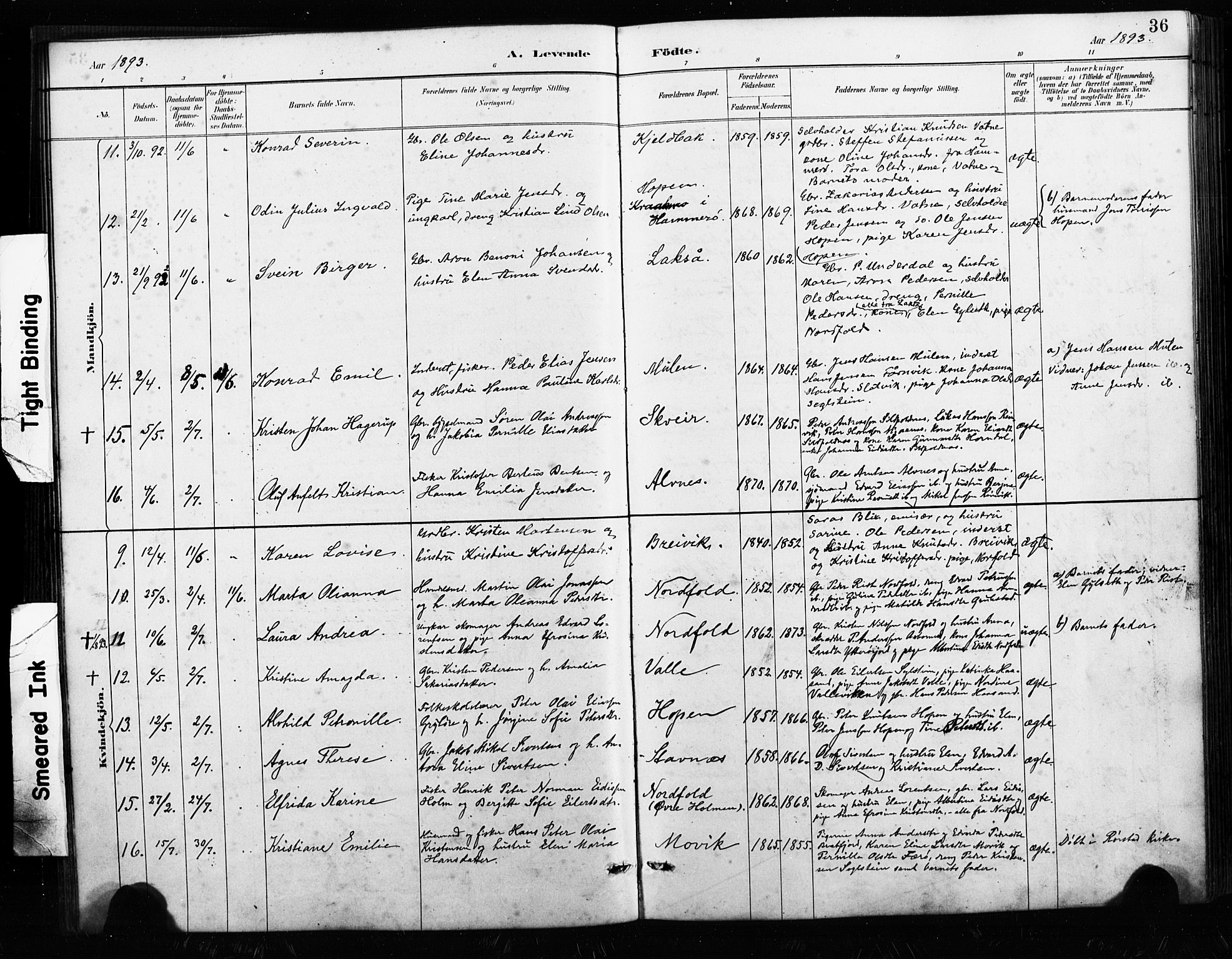 Ministerialprotokoller, klokkerbøker og fødselsregistre - Nordland, AV/SAT-A-1459/858/L0834: Parish register (copy) no. 858C01, 1884-1904, p. 36