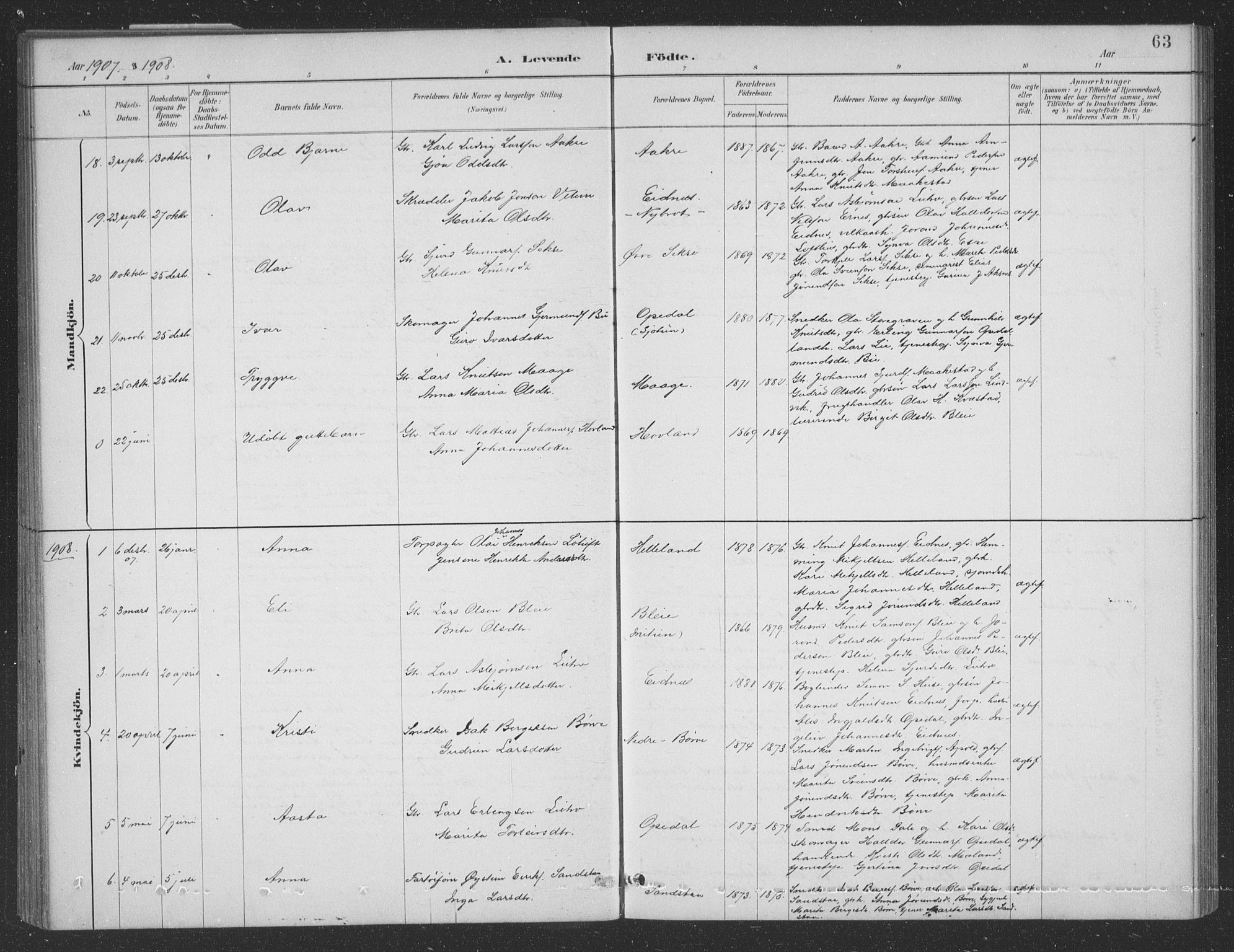 Ullensvang sokneprestembete, AV/SAB-A-78701/H/Hab: Parish register (copy) no. B 11, 1887-1939, p. 63