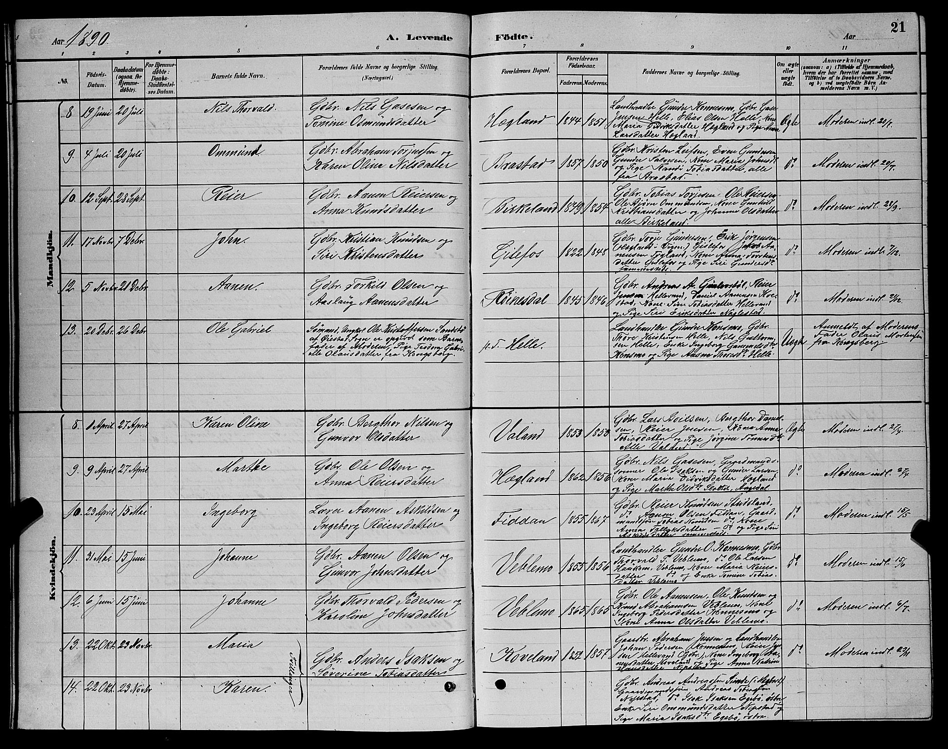 Nord-Audnedal sokneprestkontor, SAK/1111-0032/F/Fb/Fba/L0003: Parish register (copy) no. B 3, 1881-1900, p. 21