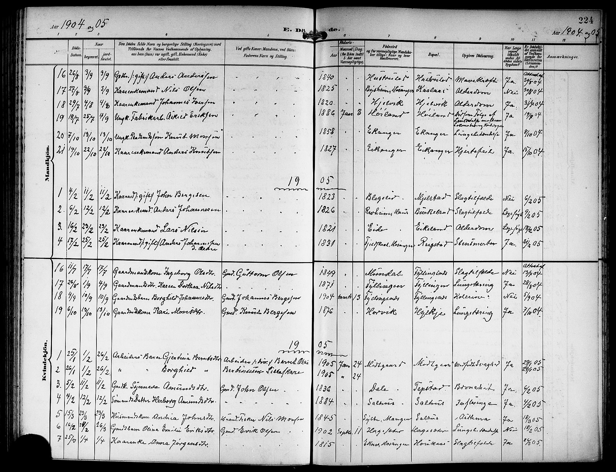 Hamre sokneprestembete, SAB/A-75501/H/Ha/Hab: Parish register (copy) no. B 4, 1898-1919, p. 224