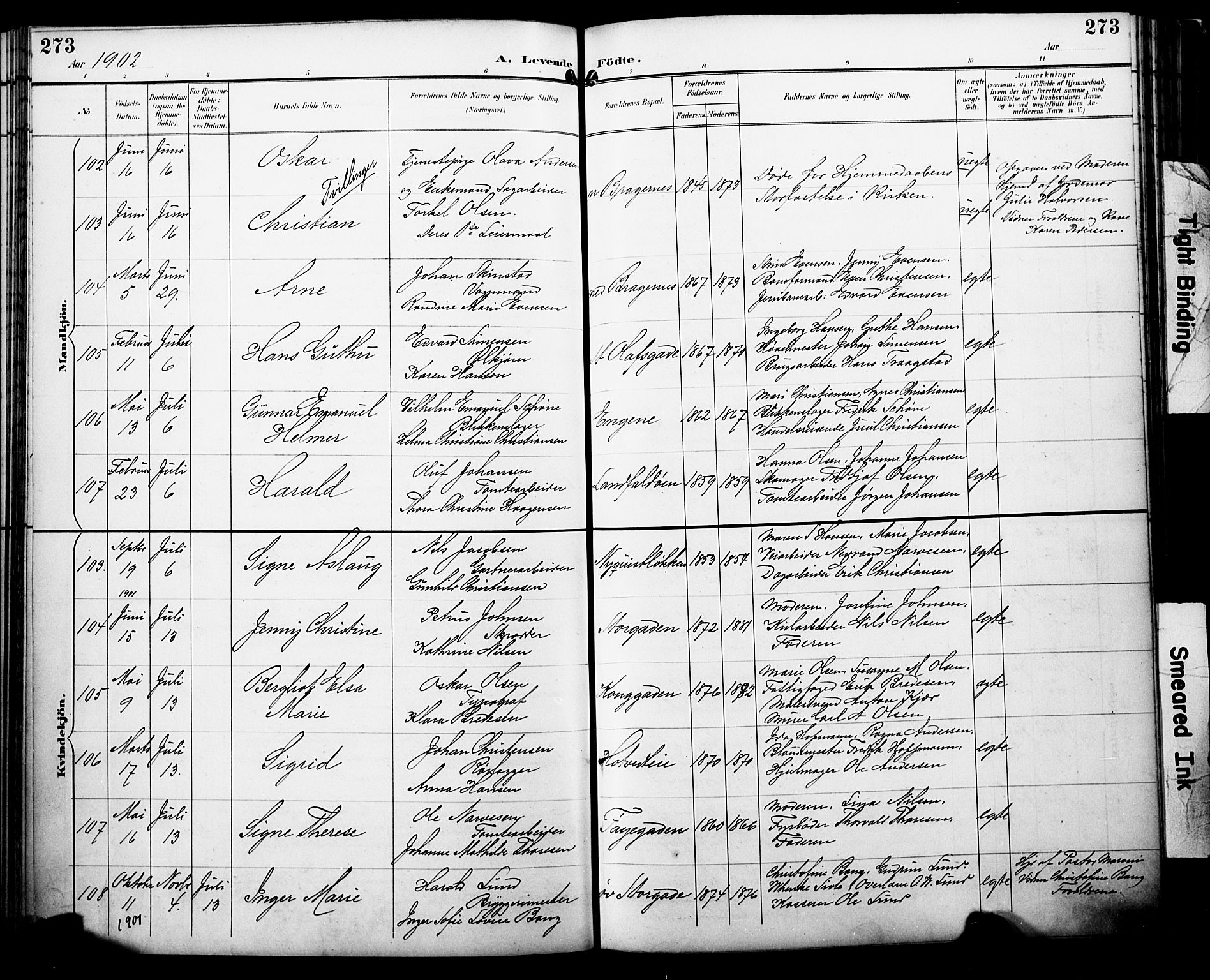 Bragernes kirkebøker, AV/SAKO-A-6/F/Fb/L0008: Parish register (official) no. II 8, 1894-1902, p. 273