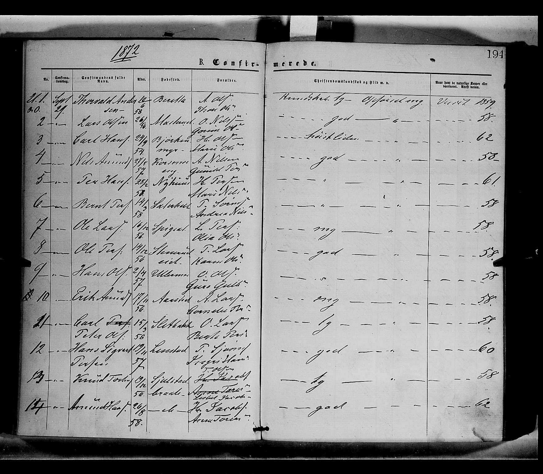 Sør-Odal prestekontor, AV/SAH-PREST-030/H/Ha/Haa/L0004: Parish register (official) no. 4, 1870-1875, p. 194