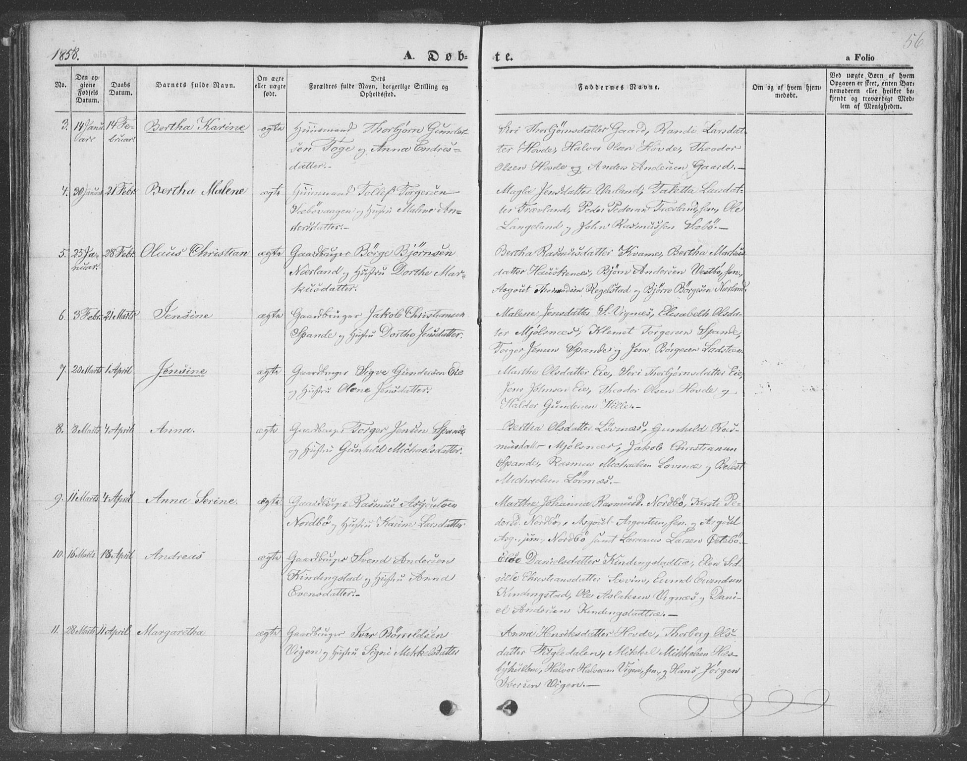 Finnøy sokneprestkontor, SAST/A-101825/H/Ha/Haa/L0007: Parish register (official) no. A 7, 1847-1862, p. 56
