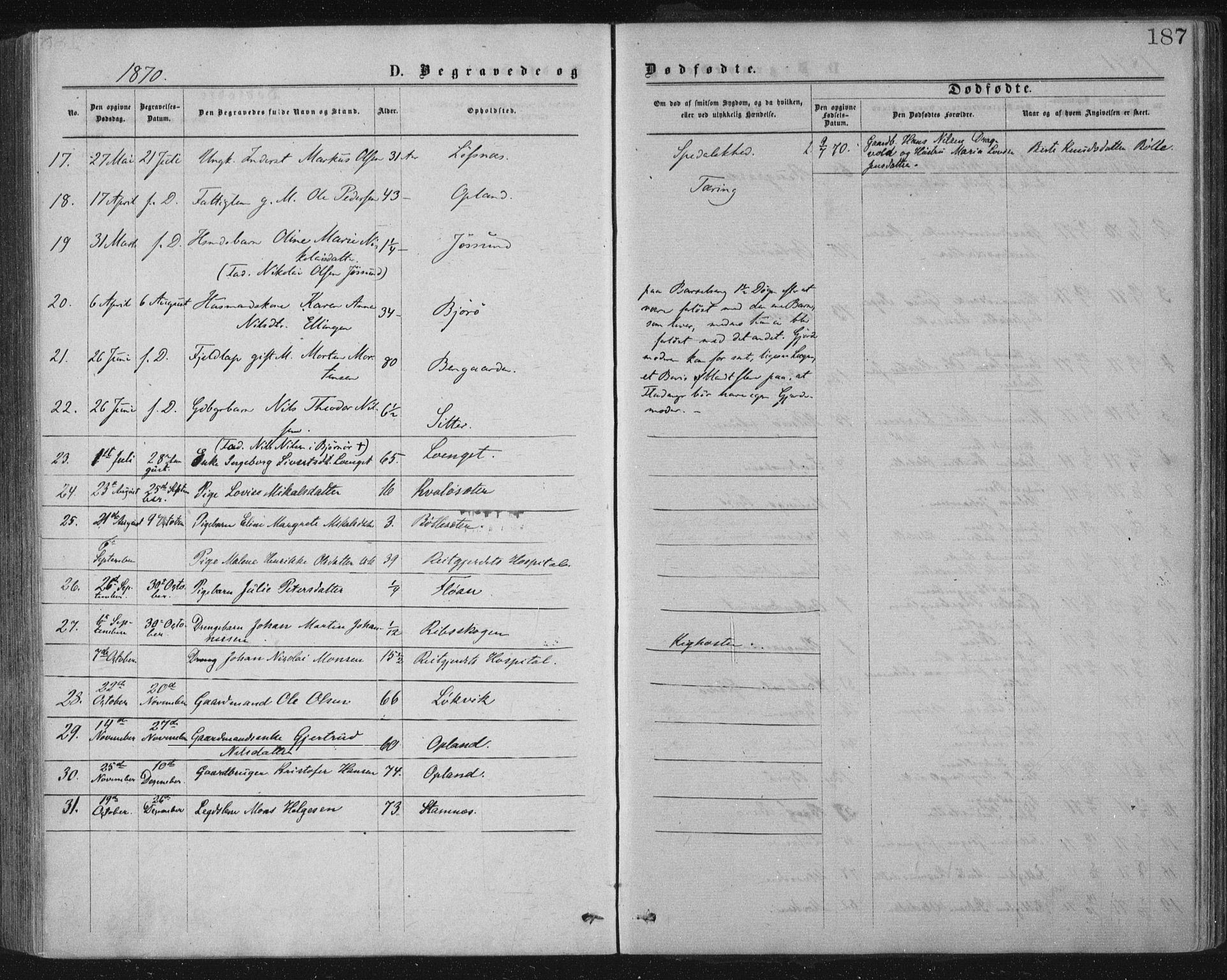 Ministerialprotokoller, klokkerbøker og fødselsregistre - Nord-Trøndelag, SAT/A-1458/771/L0596: Parish register (official) no. 771A03, 1870-1884, p. 187