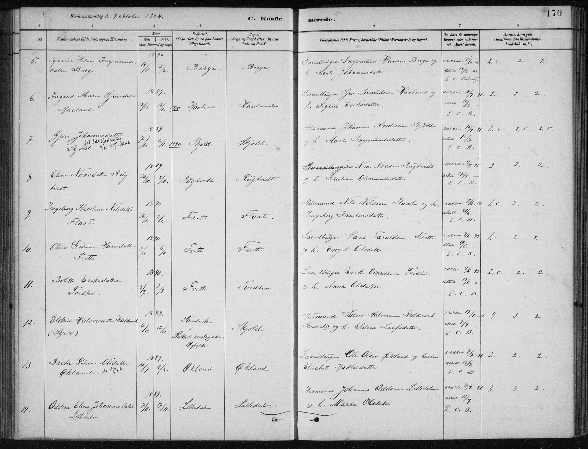 Etne sokneprestembete, AV/SAB-A-75001/H/Haa: Parish register (official) no. D  1, 1879-1919, p. 170