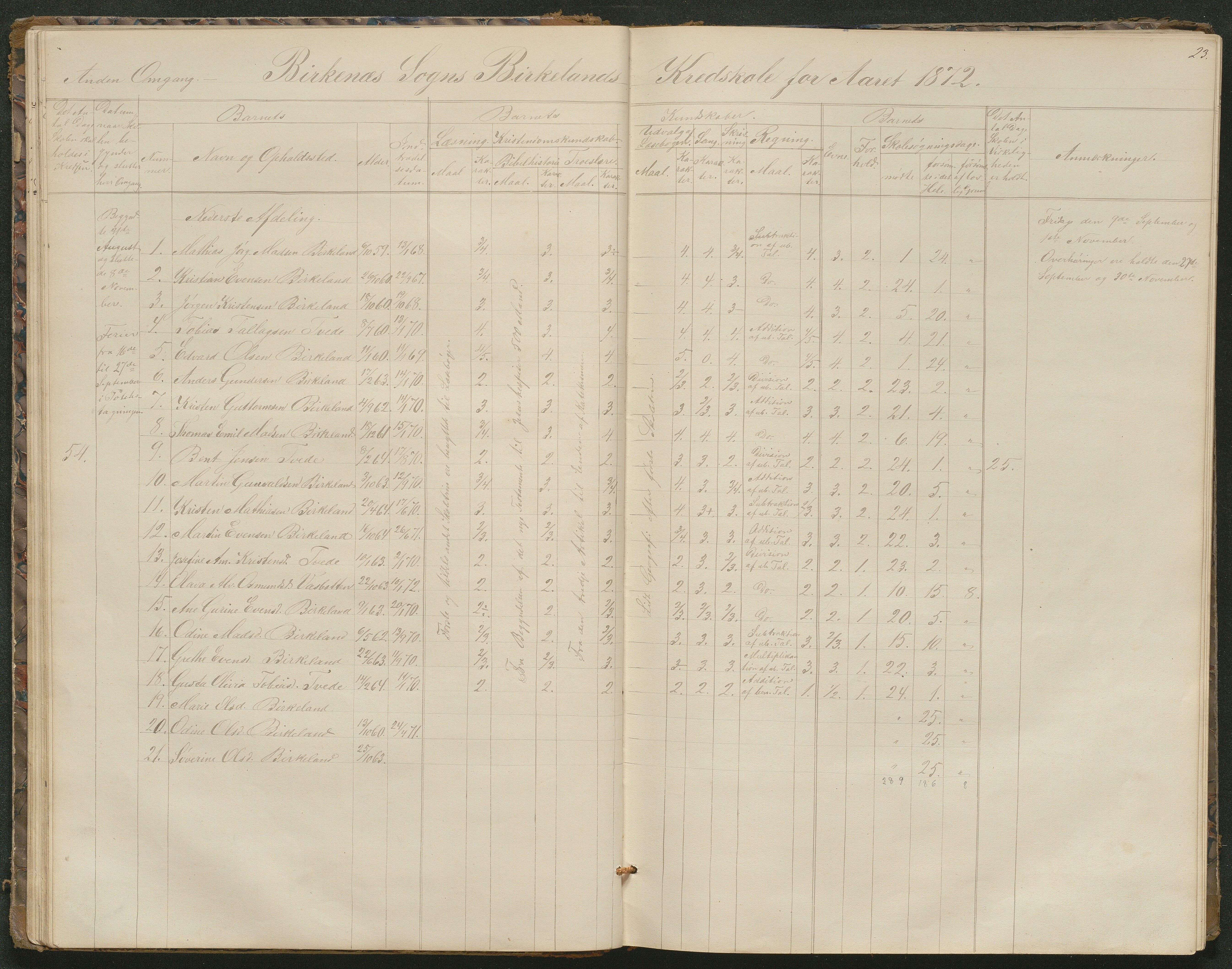 Birkenes kommune, Birkenes krets/Birkeland folkeskole frem til 1991, AAKS/KA0928-550a_91/F02/L0001: Skoleprotokoll, 1862-1896, p. 23