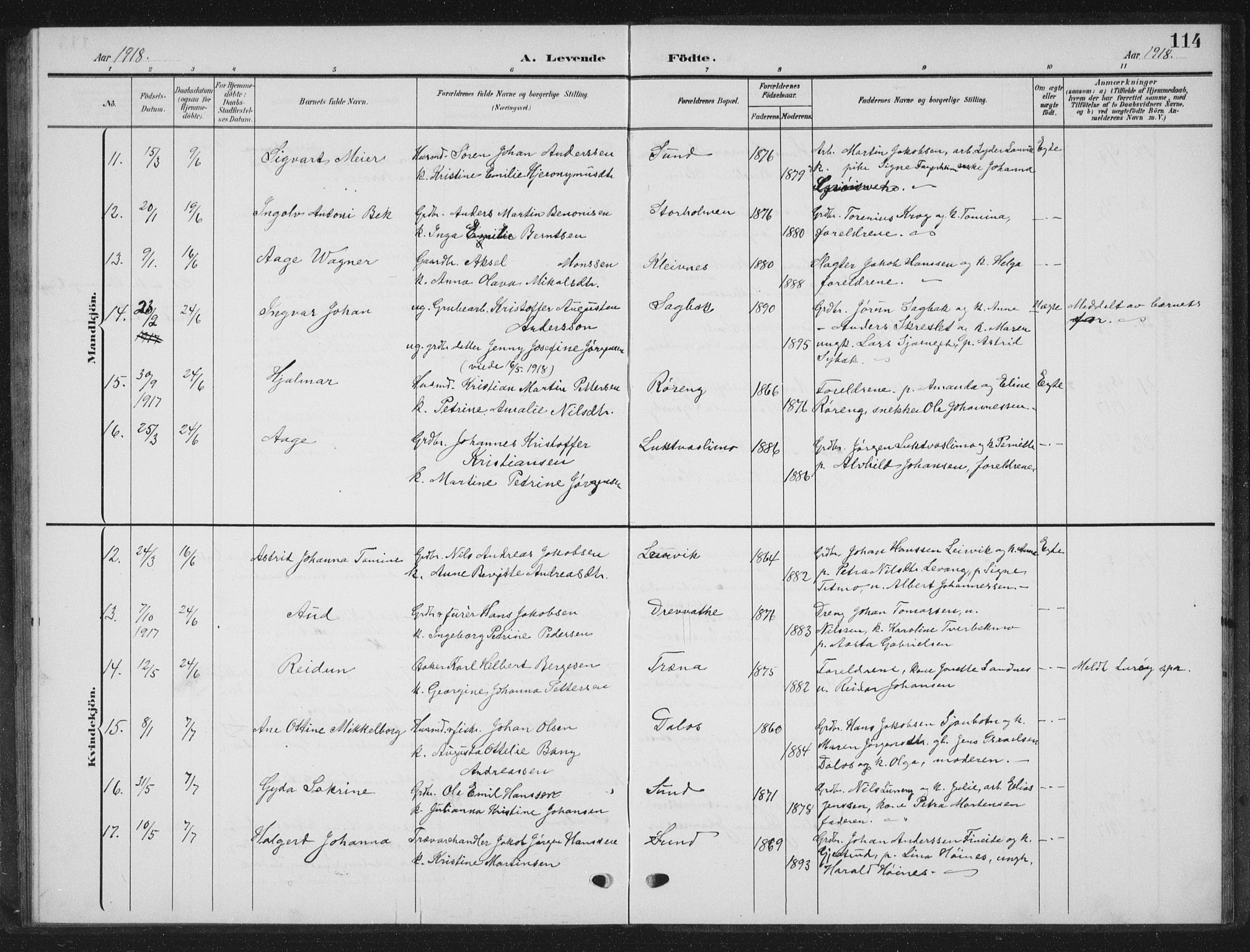 Ministerialprotokoller, klokkerbøker og fødselsregistre - Nordland, SAT/A-1459/825/L0370: Parish register (copy) no. 825C07, 1903-1923, p. 114