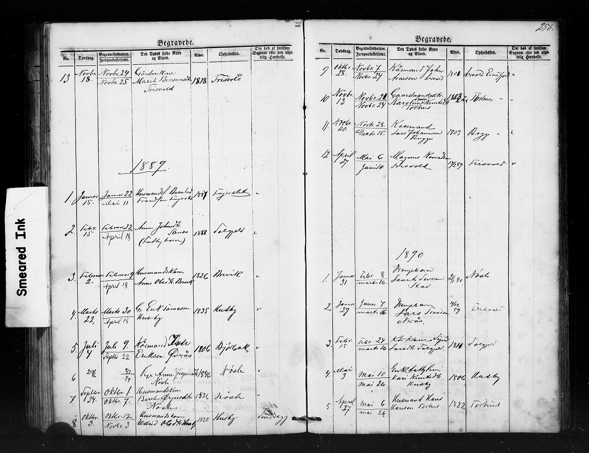 Ministerialprotokoller, klokkerbøker og fødselsregistre - Møre og Romsdal, SAT/A-1454/552/L0638: Parish register (copy) no. 552C01, 1867-1902, p. 256