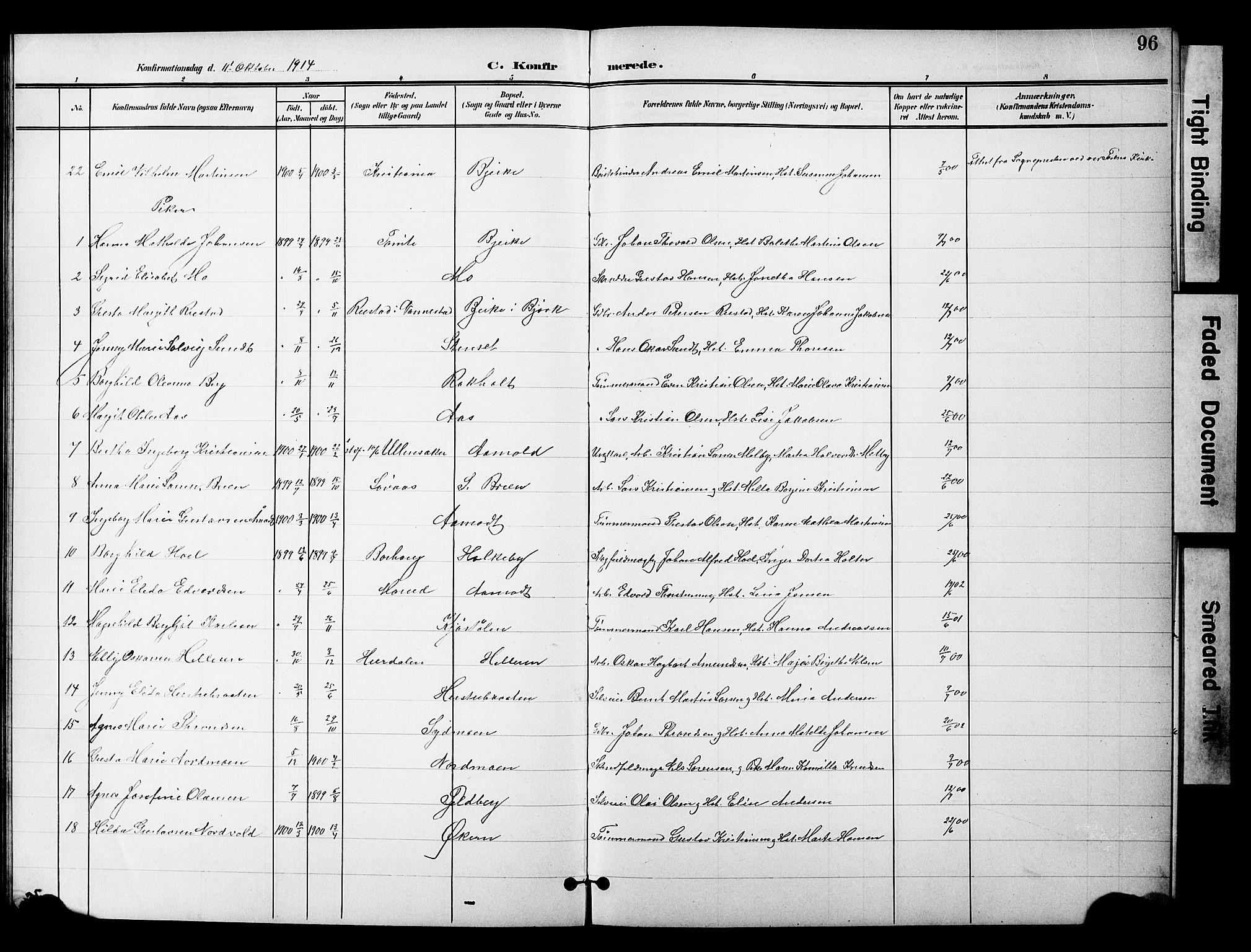 Nannestad prestekontor Kirkebøker, AV/SAO-A-10414a/G/Gc/L0001: Parish register (copy) no. III 1, 1901-1916, p. 96