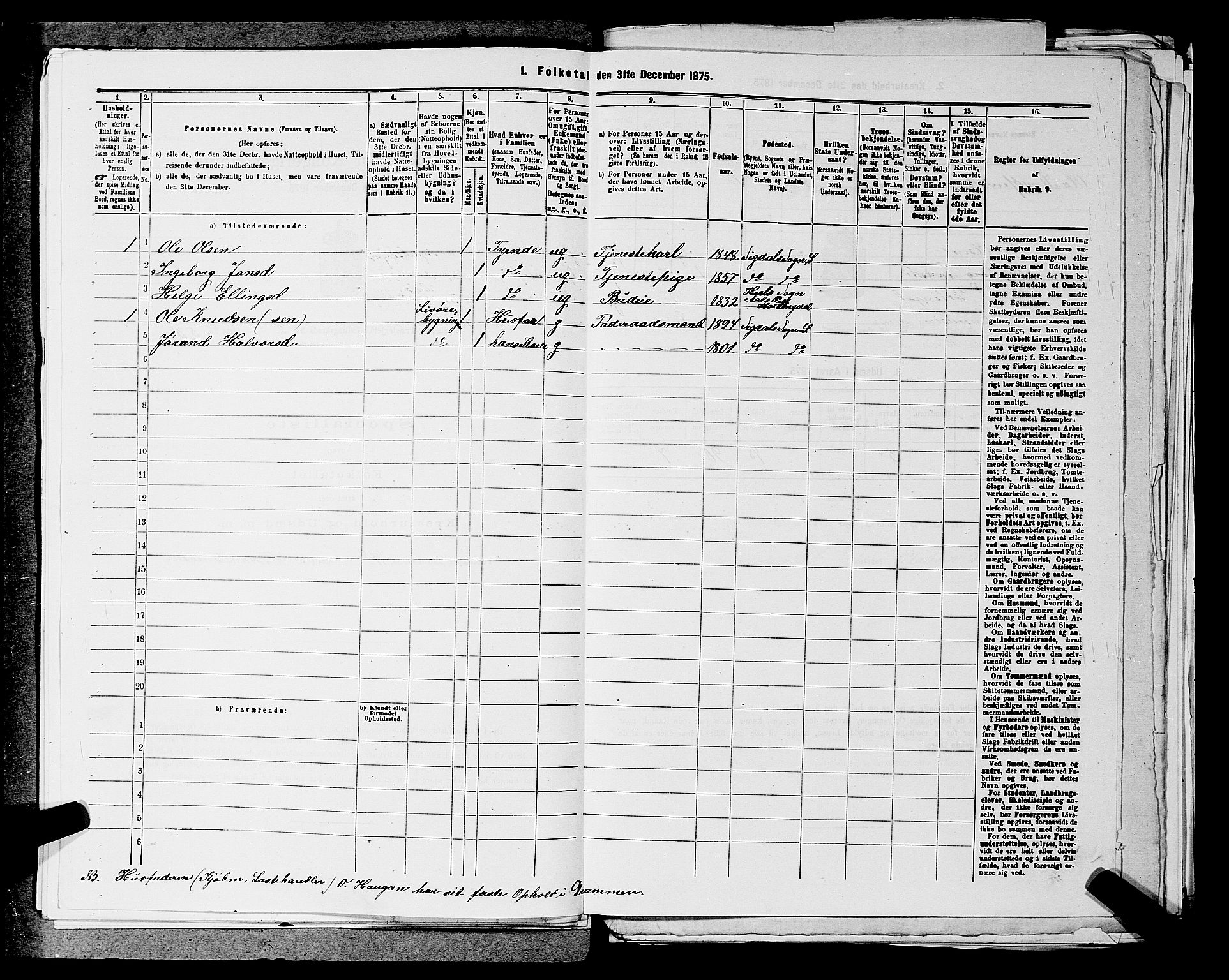 SAKO, 1875 census for 0621P Sigdal, 1875, p. 417