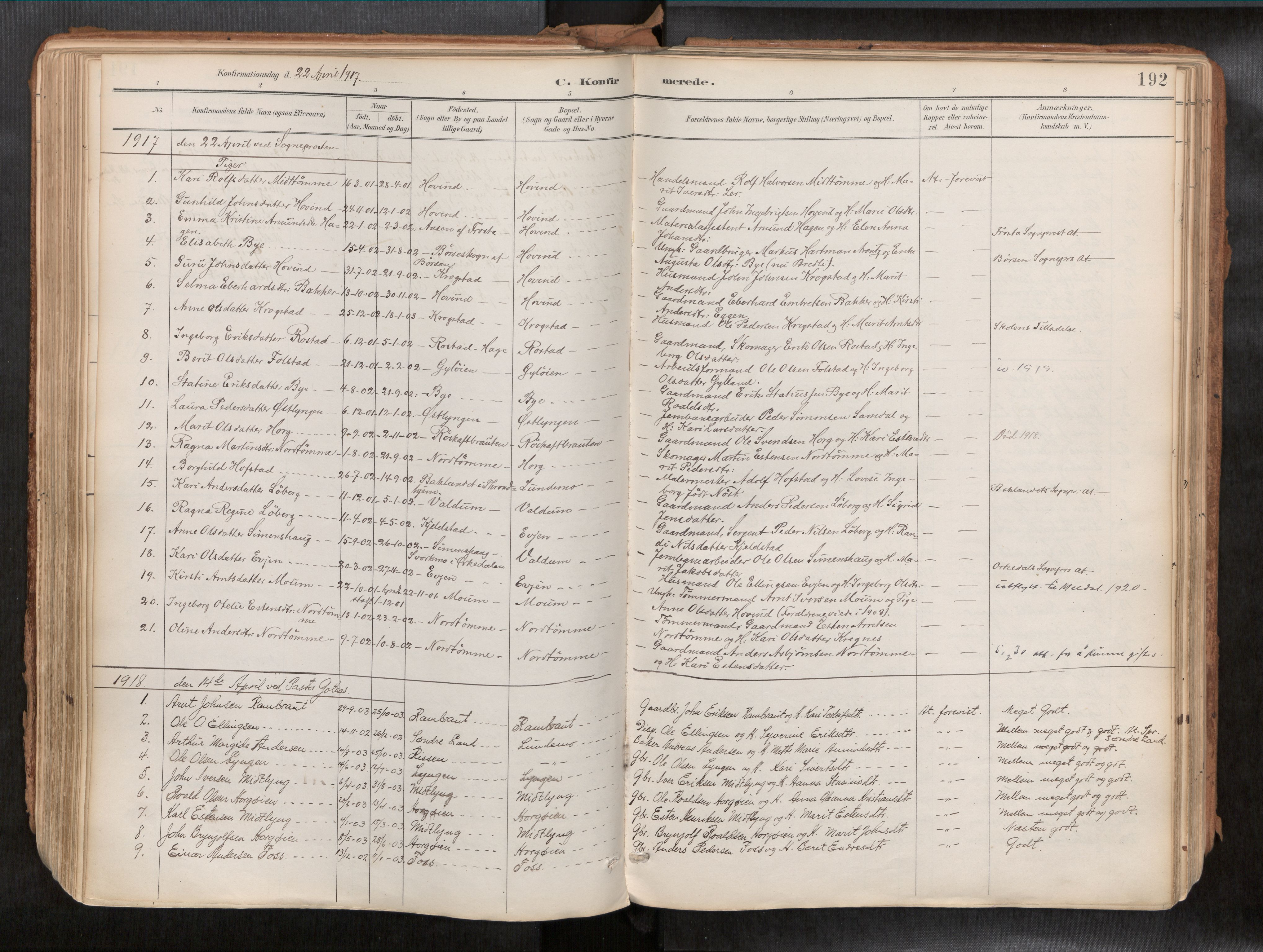 Ministerialprotokoller, klokkerbøker og fødselsregistre - Sør-Trøndelag, SAT/A-1456/692/L1105b: Parish register (official) no. 692A06, 1891-1934, p. 192