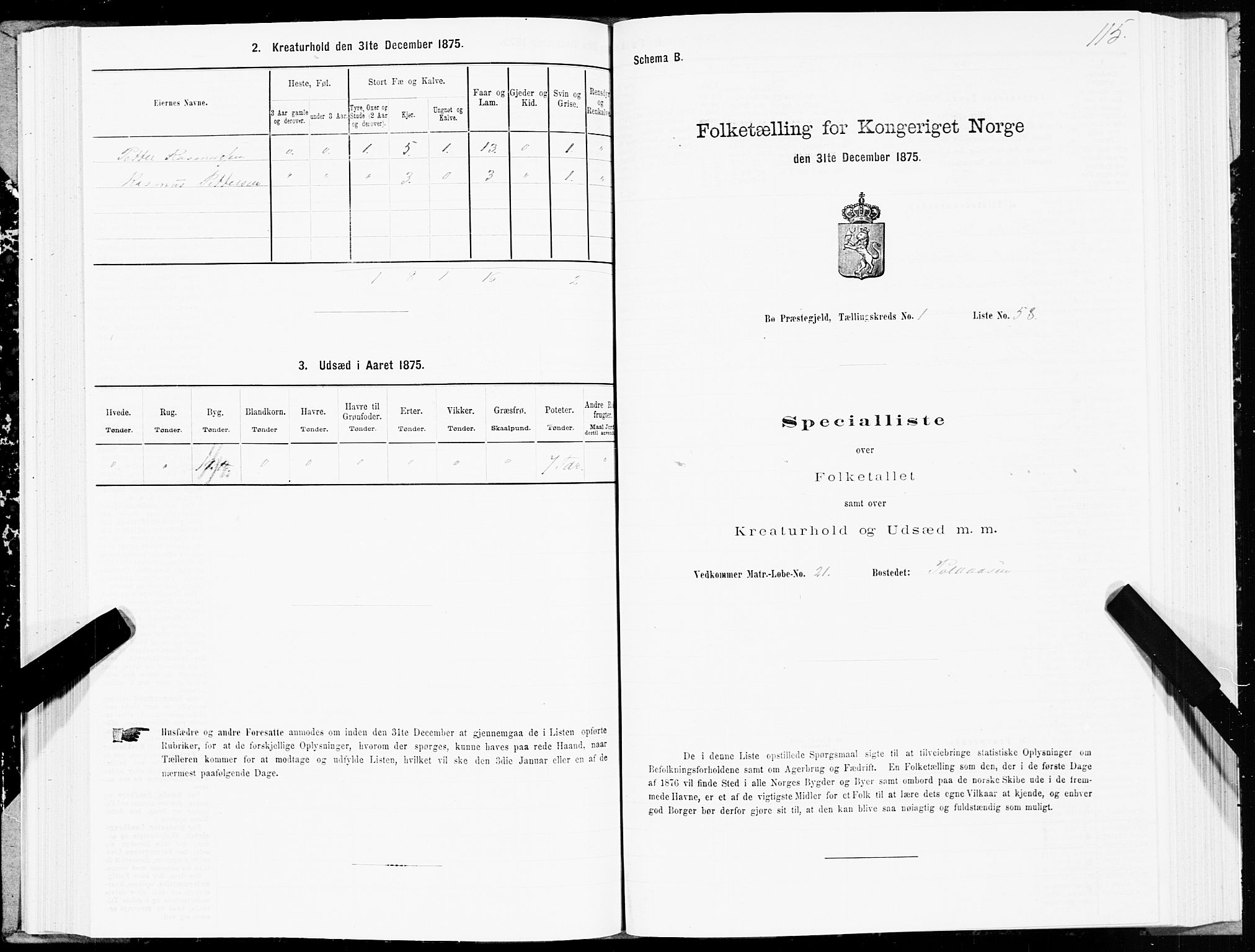 SAT, 1875 census for 1867P Bø, 1875, p. 1115