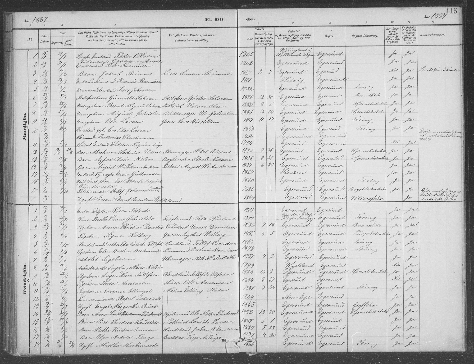 Eigersund sokneprestkontor, AV/SAST-A-101807/S09/L0008: Parish register (copy) no. B 8, 1882-1892, p. 115