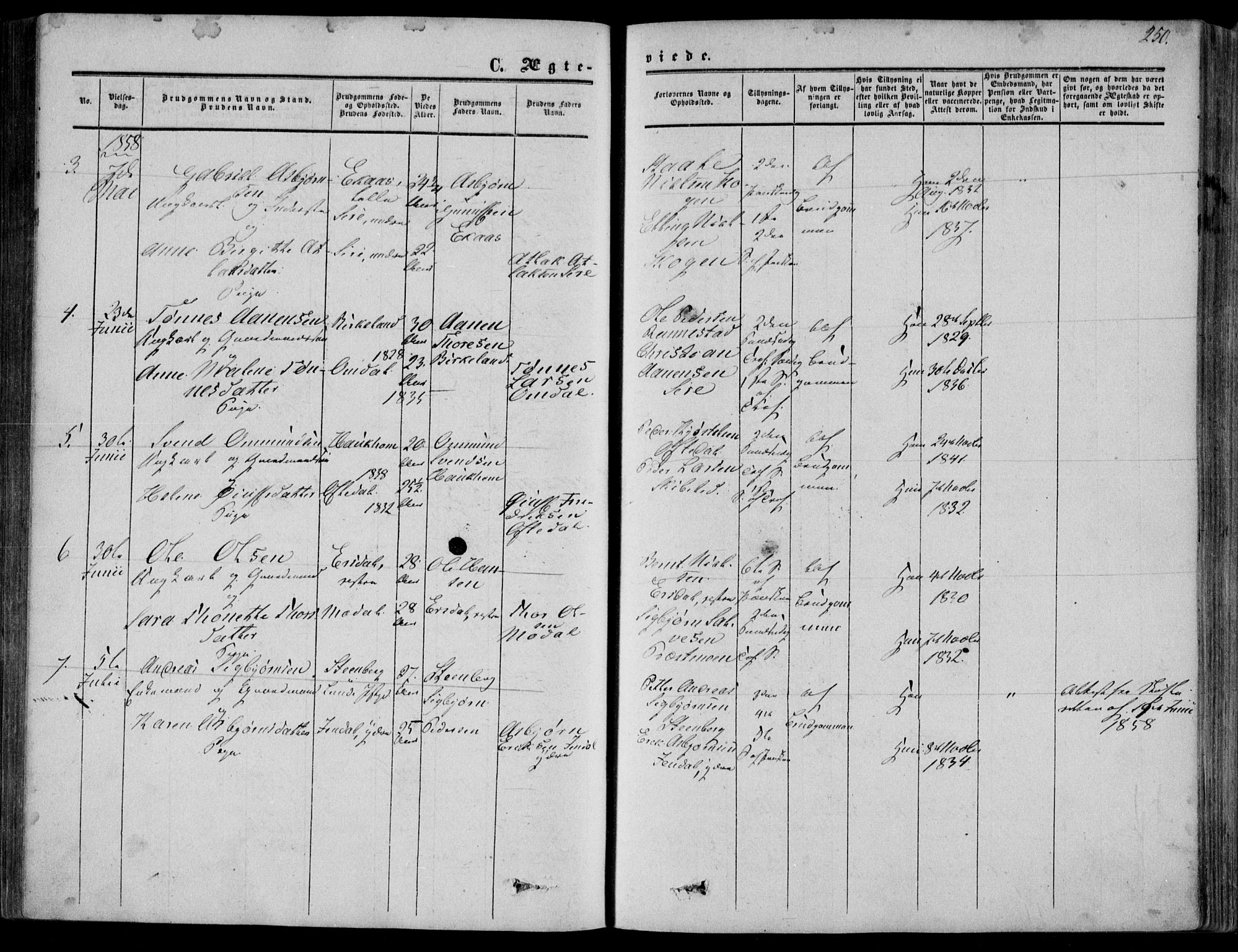 Bakke sokneprestkontor, AV/SAK-1111-0002/F/Fa/Faa/L0006: Parish register (official) no. A 6, 1855-1877, p. 250