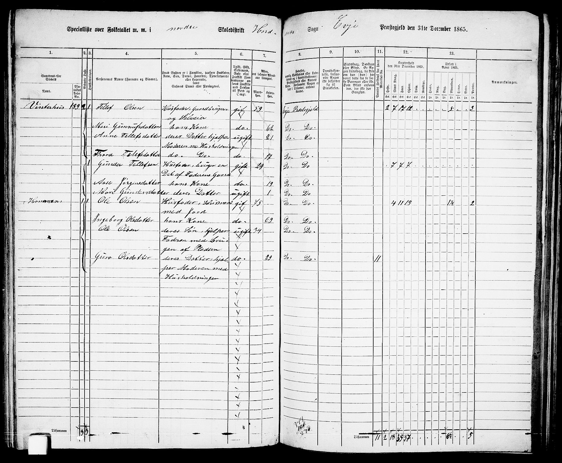 RA, 1865 census for Evje, 1865, p. 116