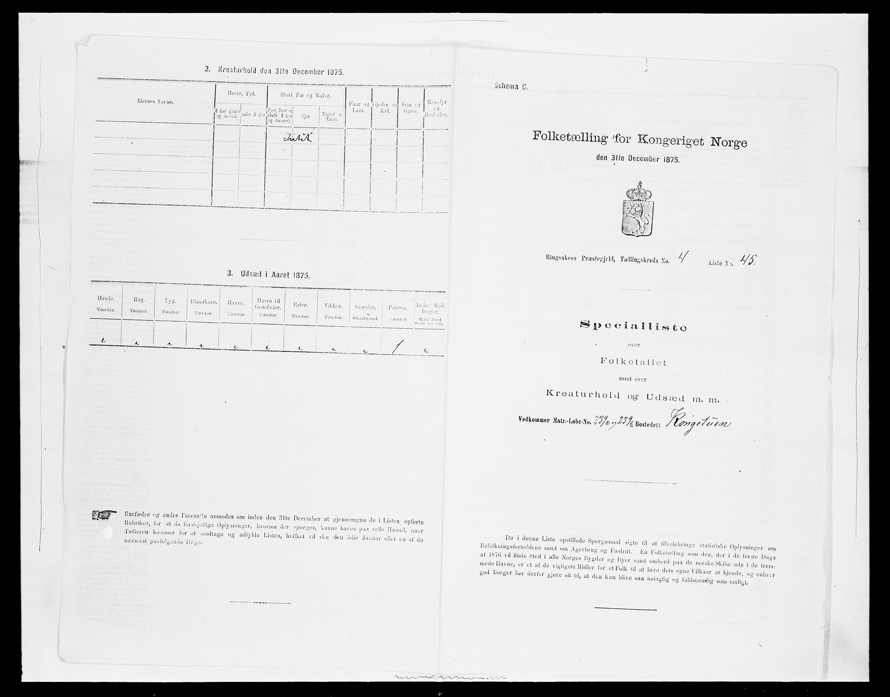 SAH, 1875 census for 0412P Ringsaker, 1875, p. 923