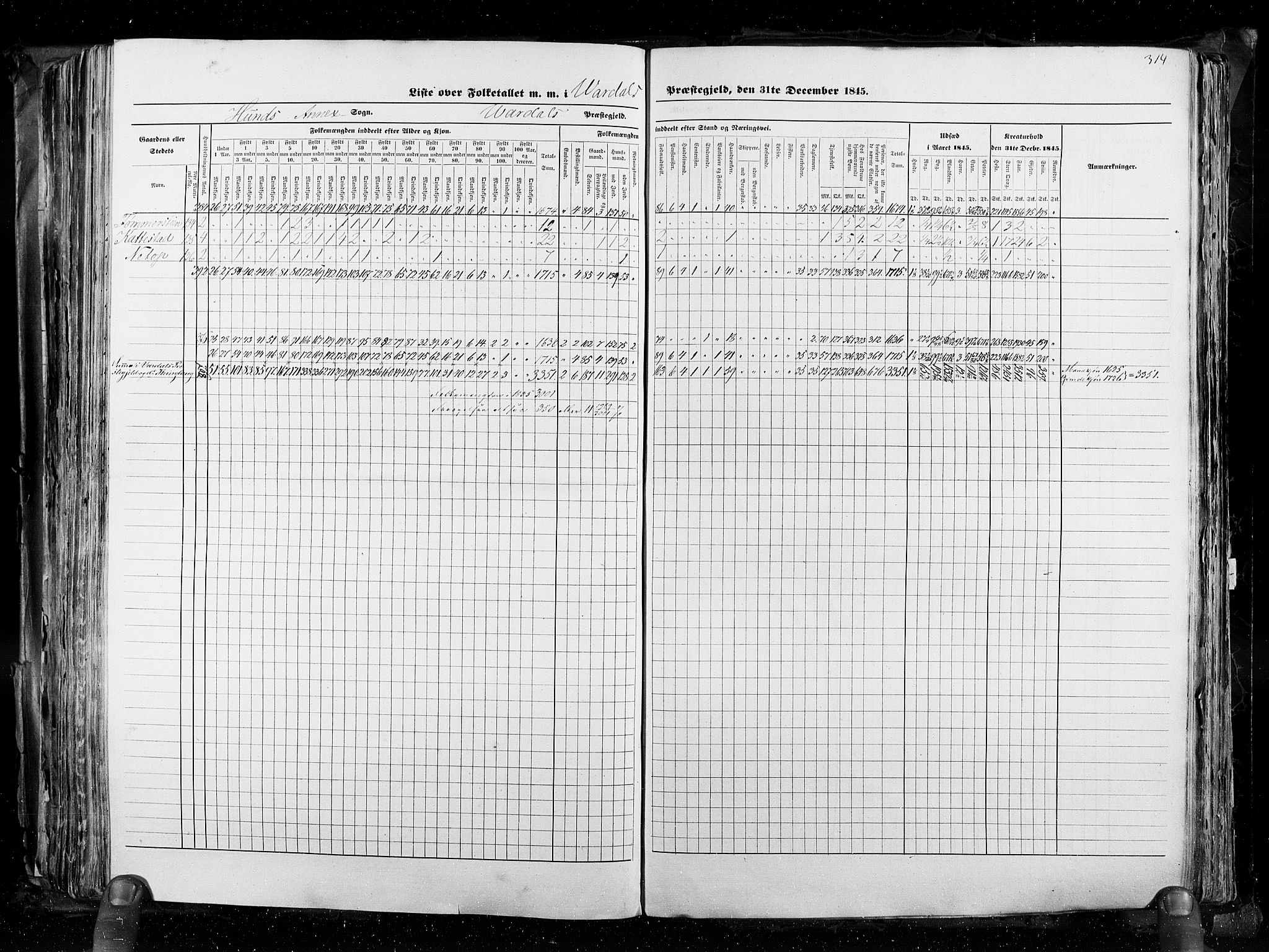 RA, Census 1845, vol. 3: Hedemarken amt og Kristians amt, 1845, p. 314