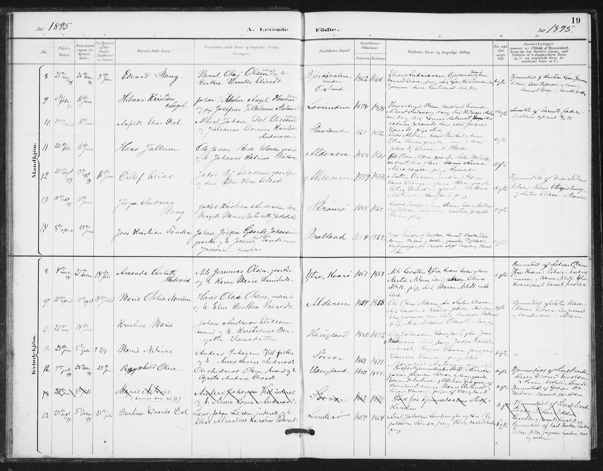 Ministerialprotokoller, klokkerbøker og fødselsregistre - Nordland, AV/SAT-A-1459/839/L0573: Parish register (copy) no. 839C03, 1892-1917, p. 19