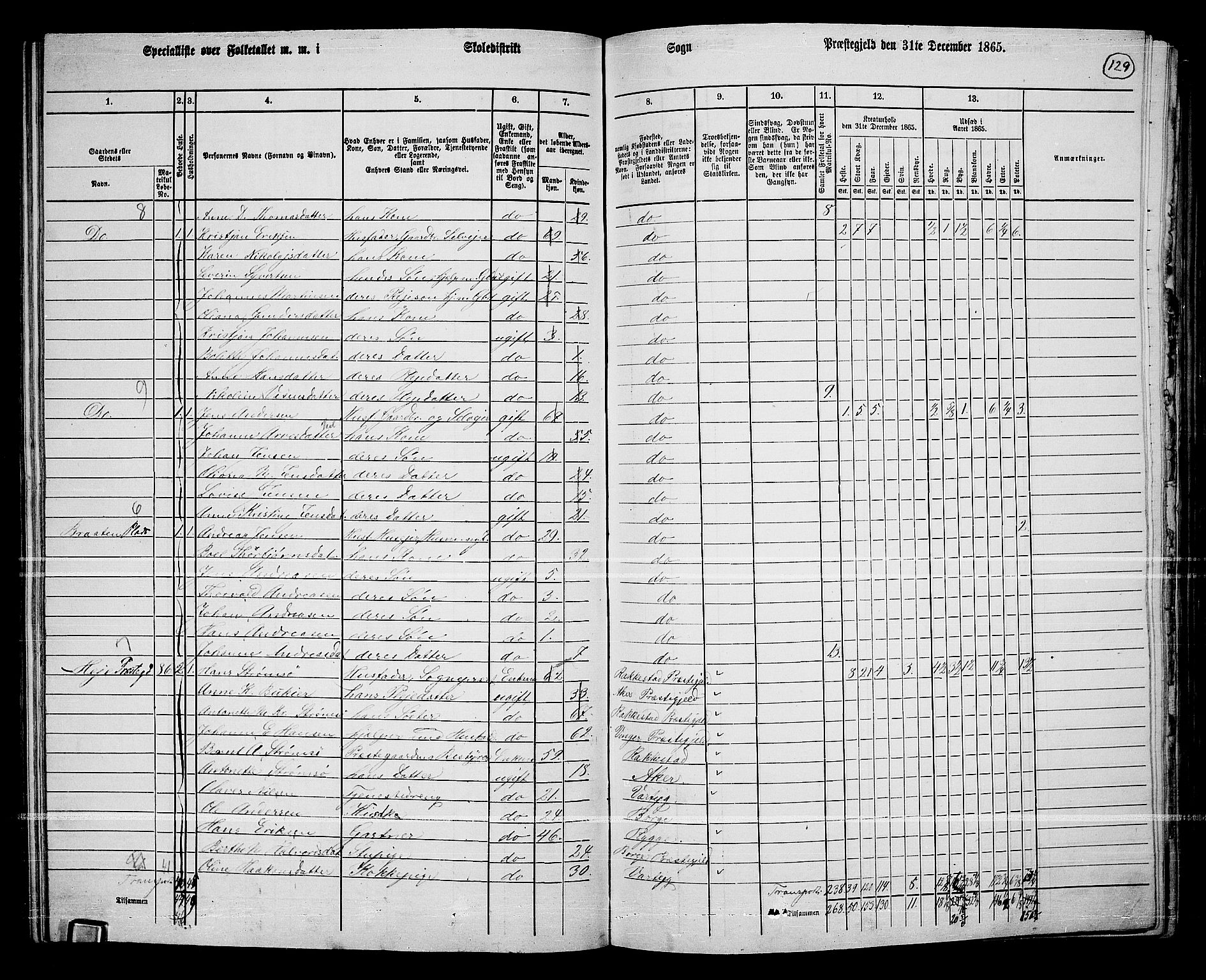 RA, 1865 census for Borge, 1865, p. 118