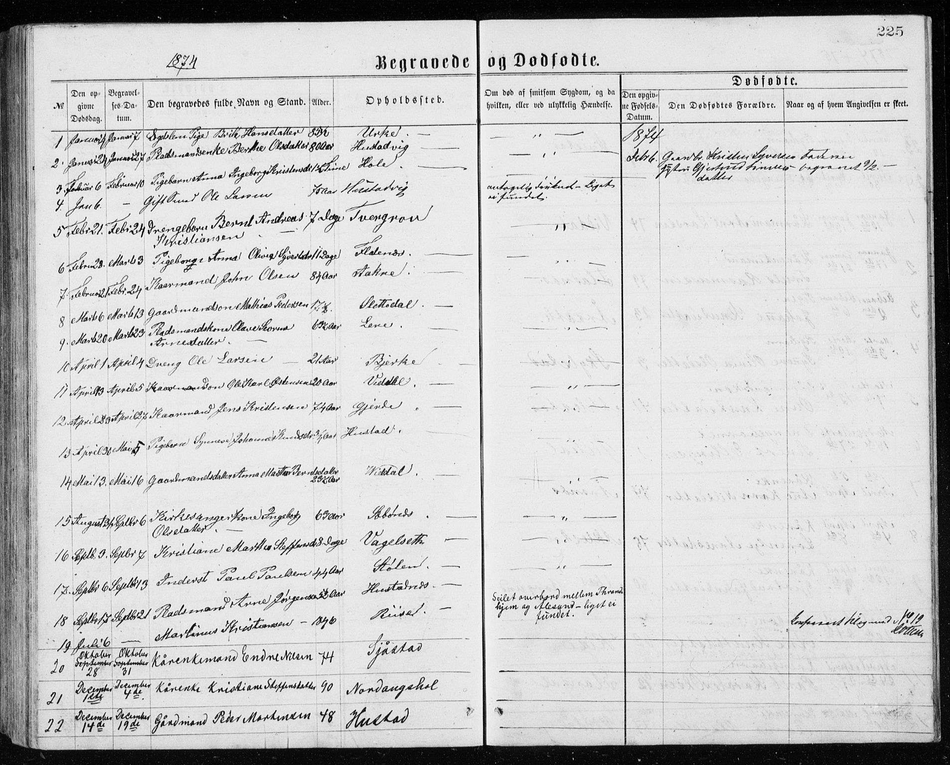 Ministerialprotokoller, klokkerbøker og fødselsregistre - Møre og Romsdal, AV/SAT-A-1454/515/L0214: Parish register (copy) no. 515C01, 1865-1883, p. 225