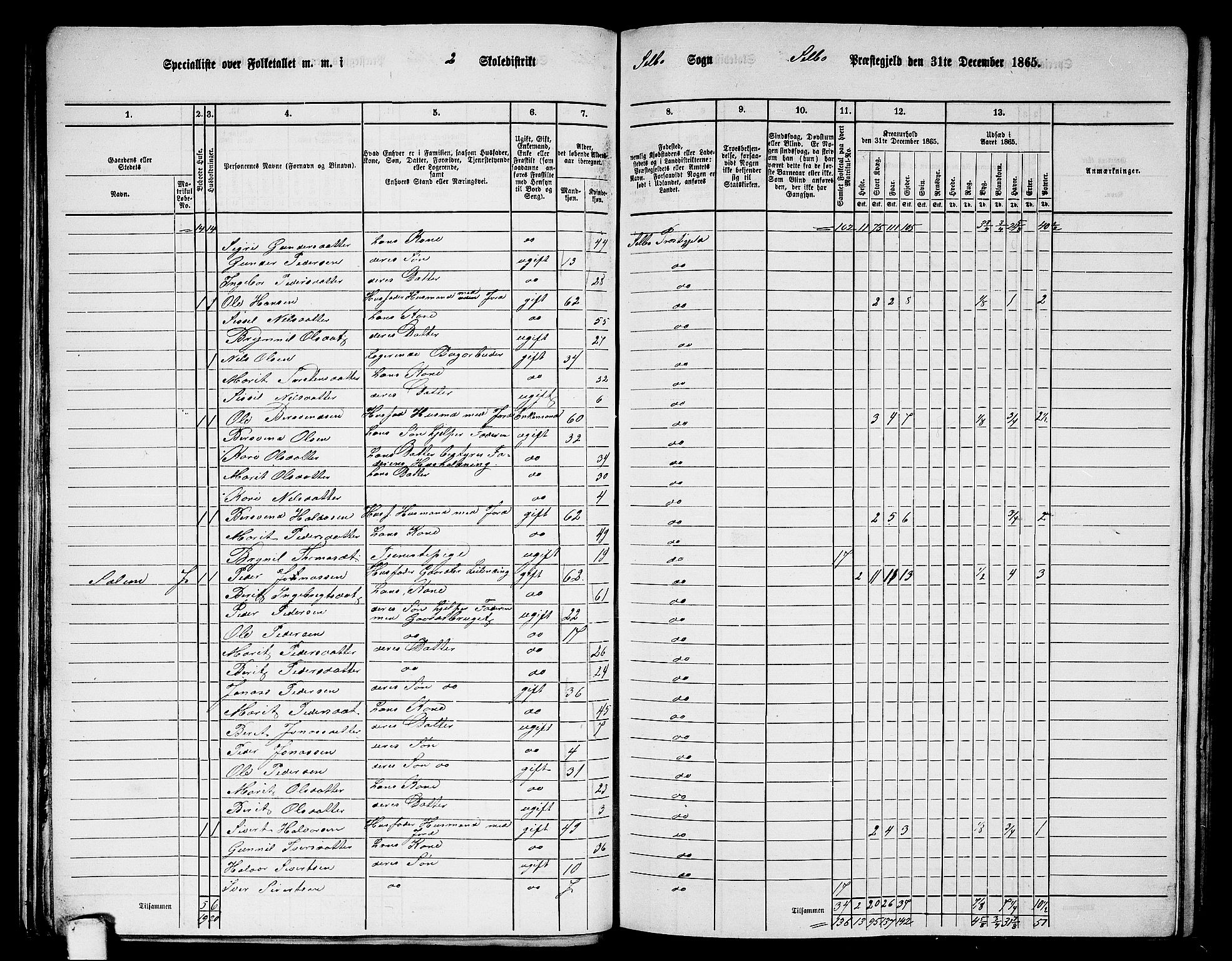 RA, 1865 census for Selbu, 1865, p. 21