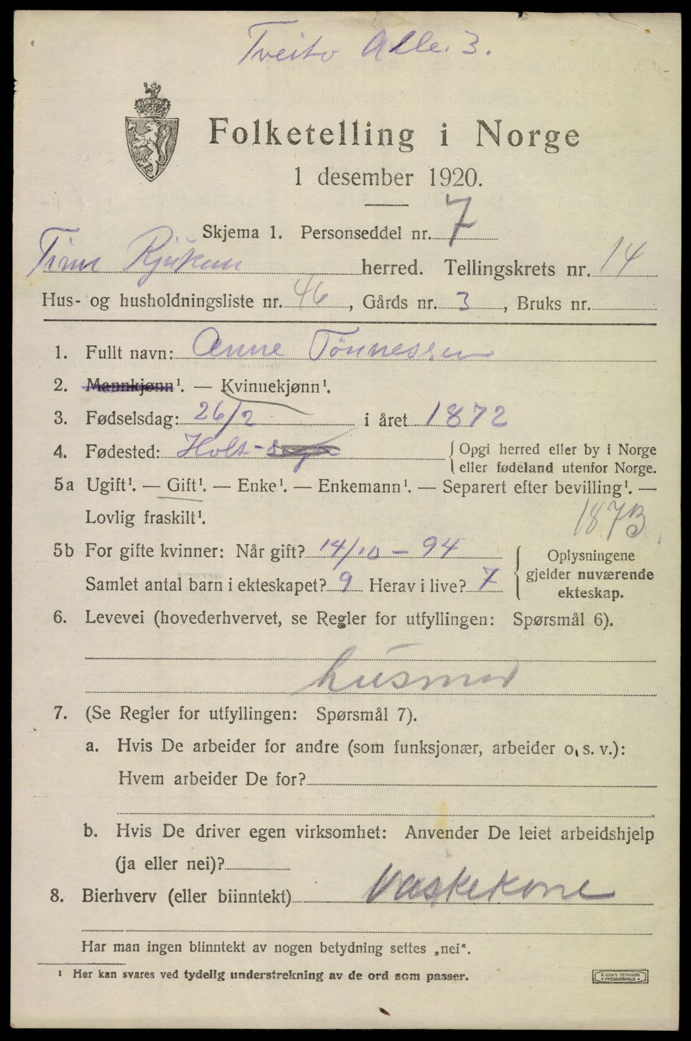 SAKO, 1920 census for Tinn, 1920, p. 10030