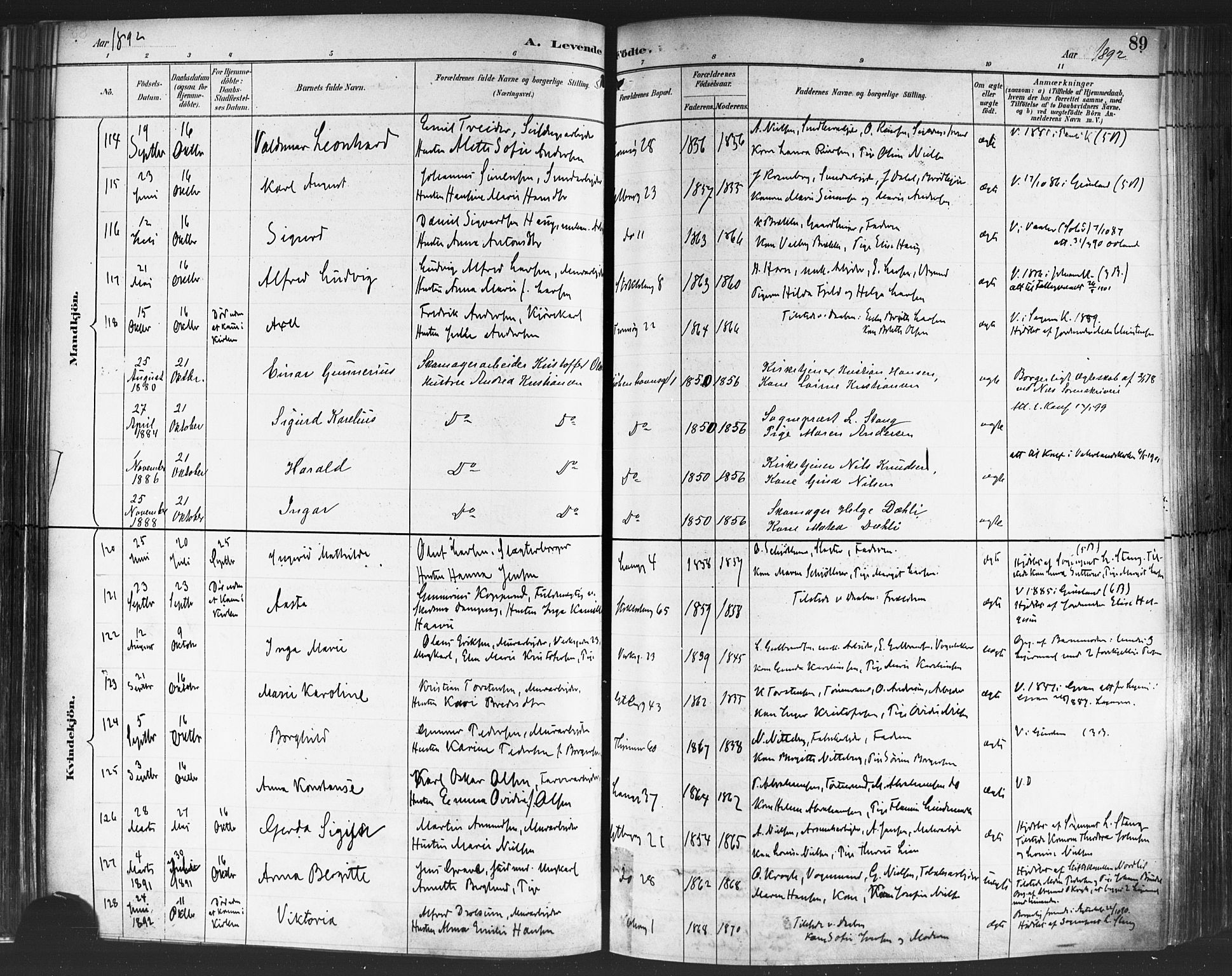 Petrus prestekontor Kirkebøker, AV/SAO-A-10872/F/Fa/L0004: Parish register (official) no. 4, 1888-1898, p. 89